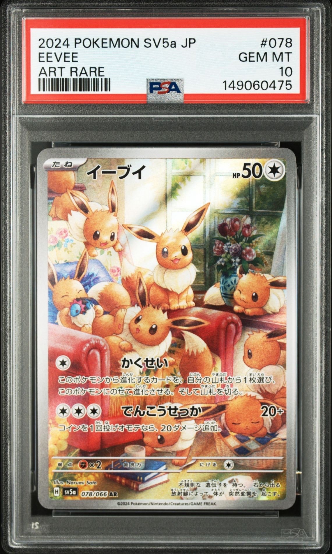 あったかピカチュウ: プロモ[XY-P 094/XY-P](プロモーションカード「XY