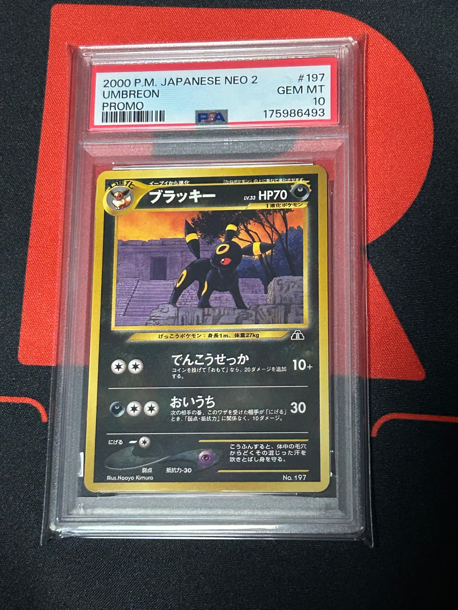 ポケモンカード ブラッキー プレミアムファイル ブラッキープレミアムファイル2: 旧裏[neoP2 No.197](プレミアム
