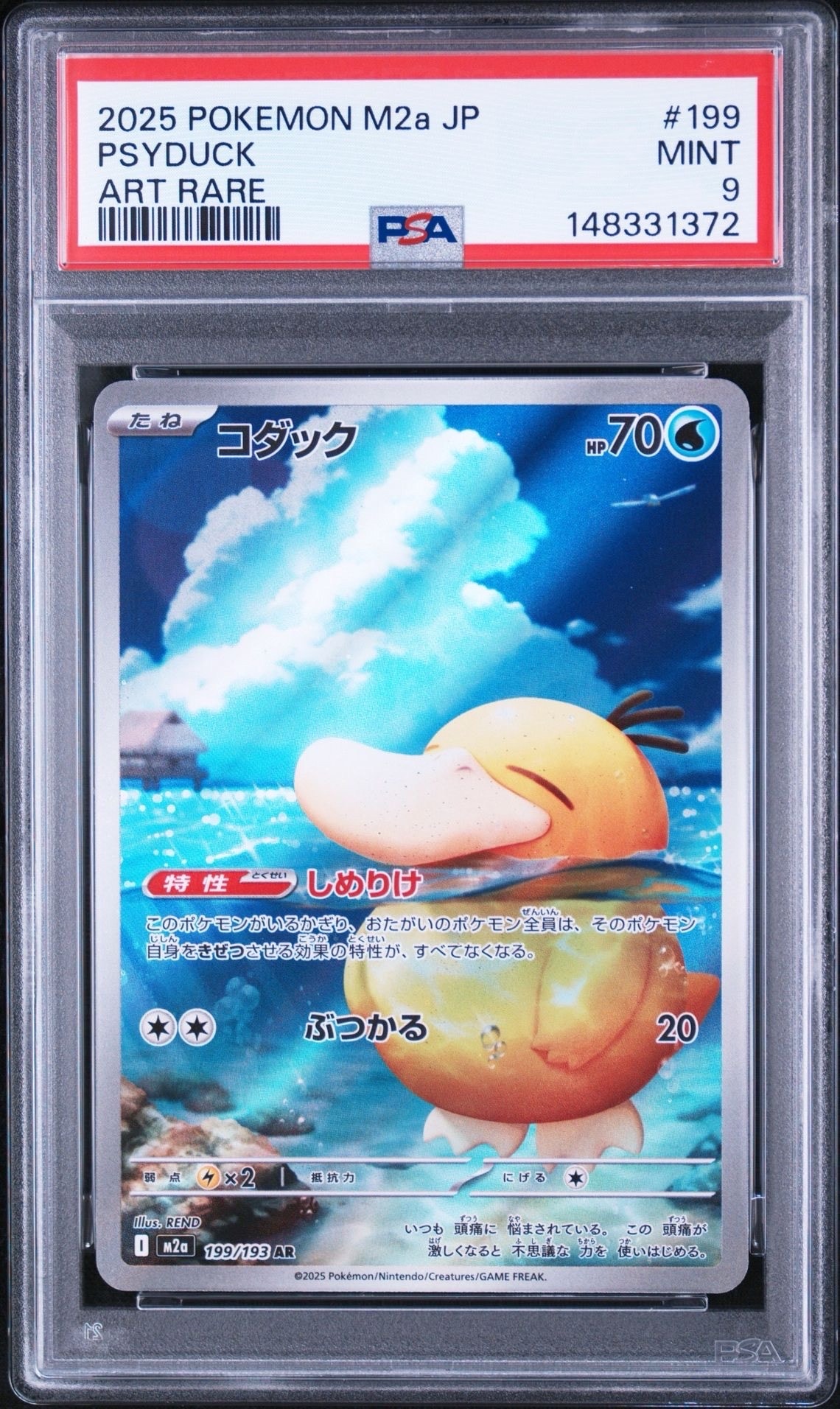コダック AR [M2a 199/193](ハイクラスパック「MEGAドリームex」)の