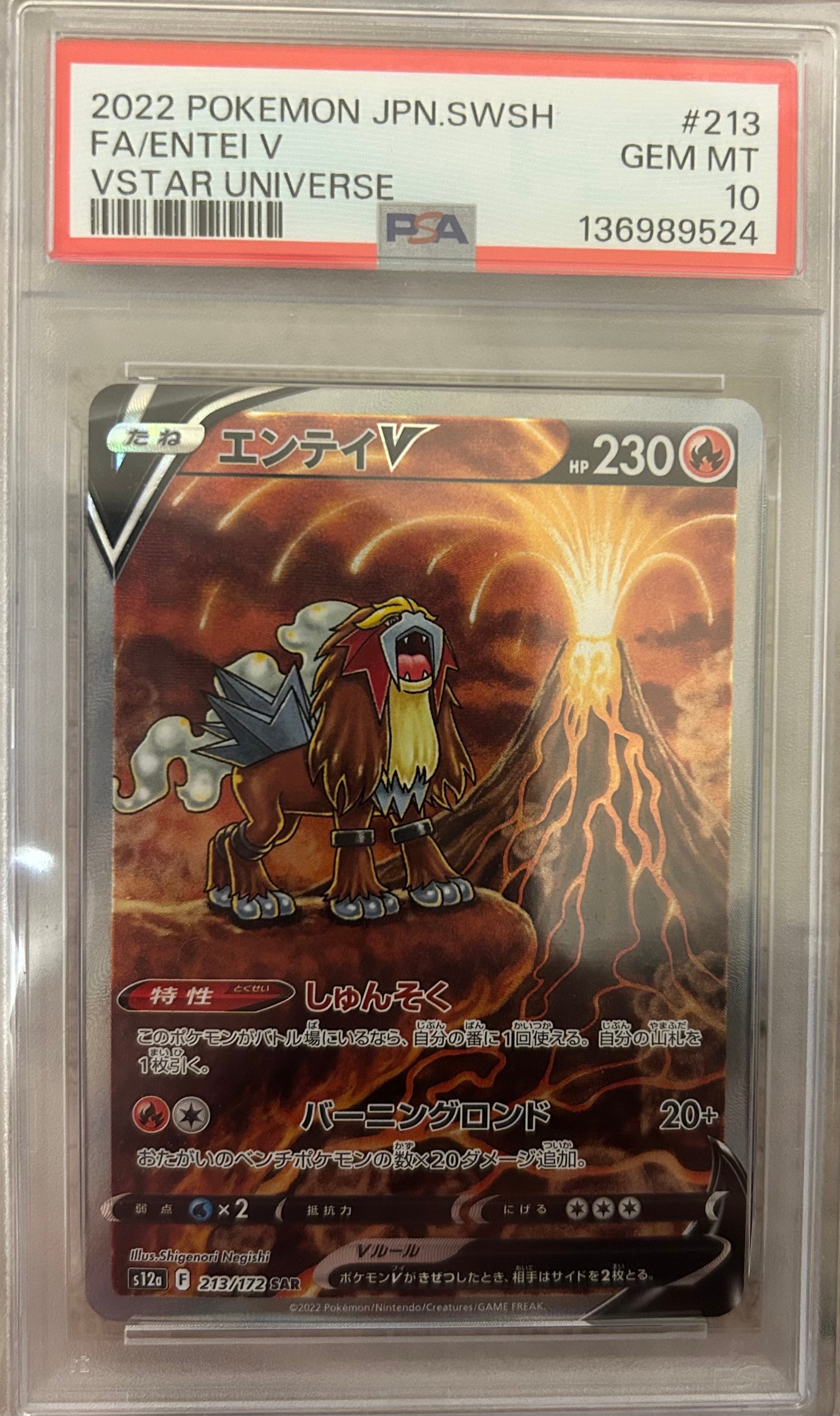 PSA10】エンテイV SAR[s12a 213/172](ハイクラスパック「VSTAR