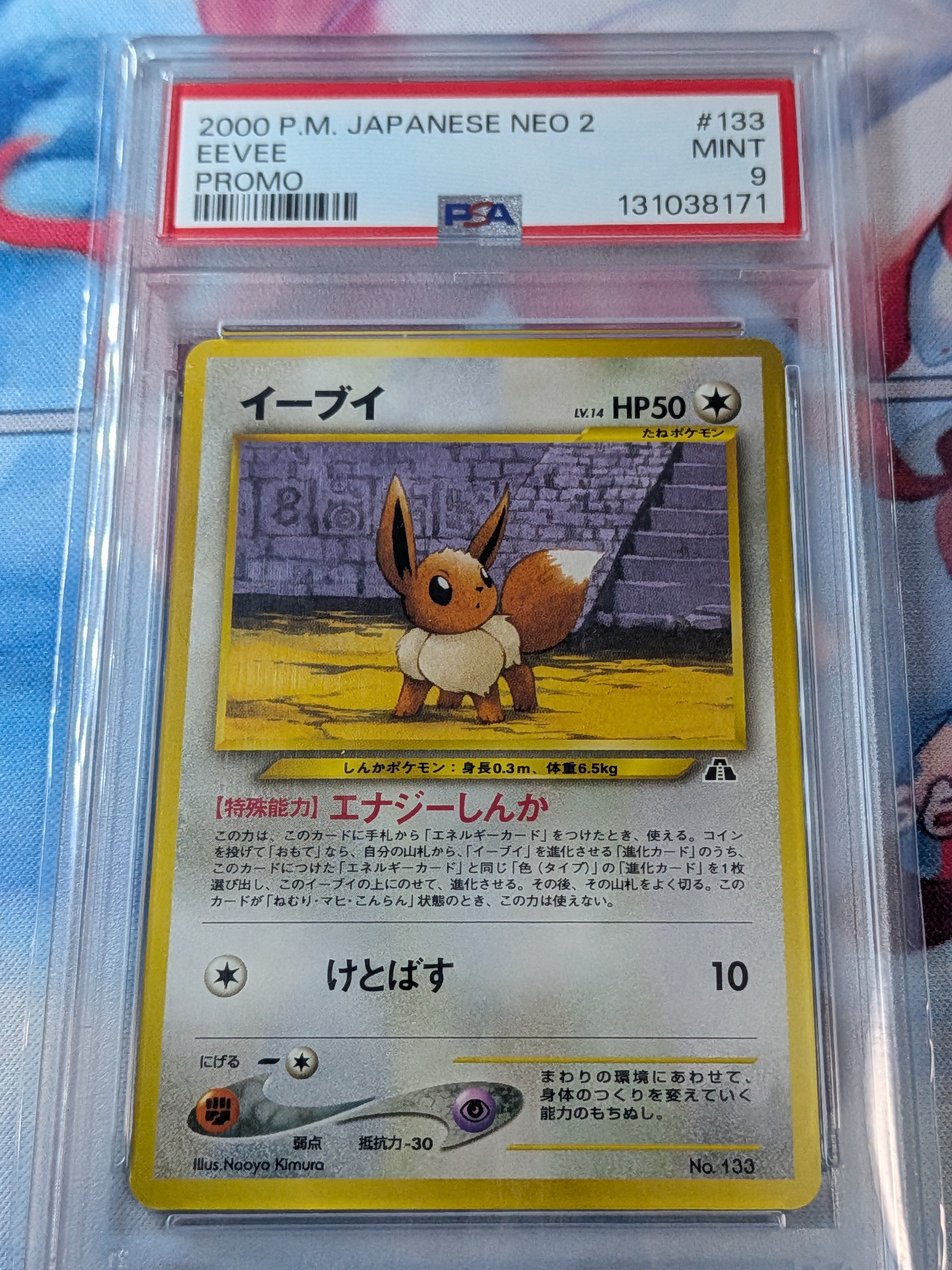 イーブイプレミアムファイル2: 旧裏[neoP2 No.133](プレミアムファイル2)