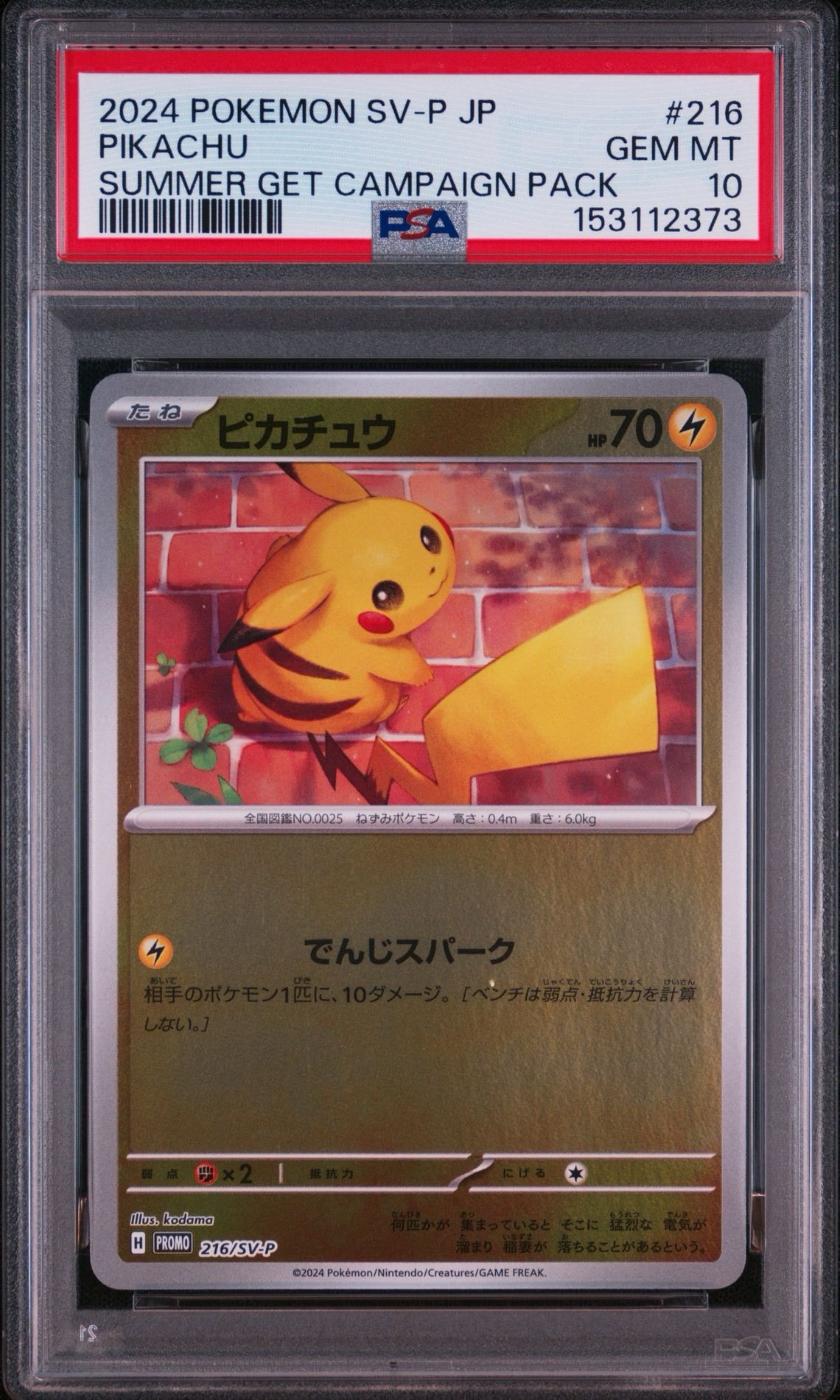 ピカチュウ P [SV-P 216](プロモカードパック「ポケカの夏がキタ