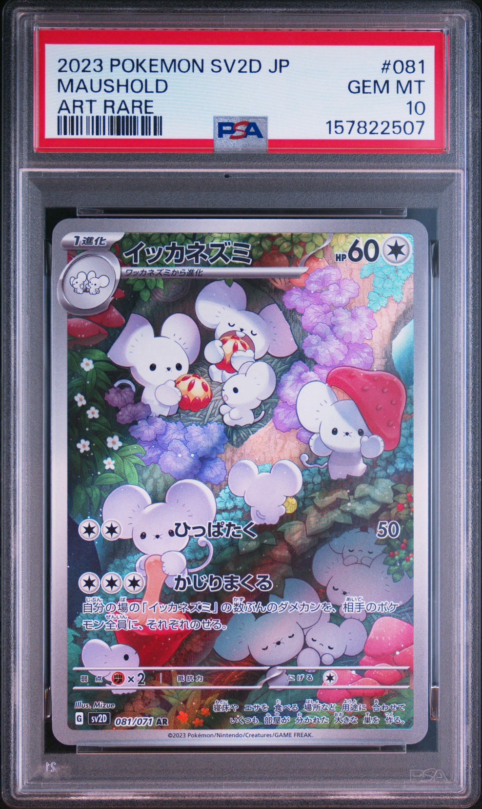PSA10】イッカネズミ AR[SV2D 081/071](拡張パック「クレイバースト