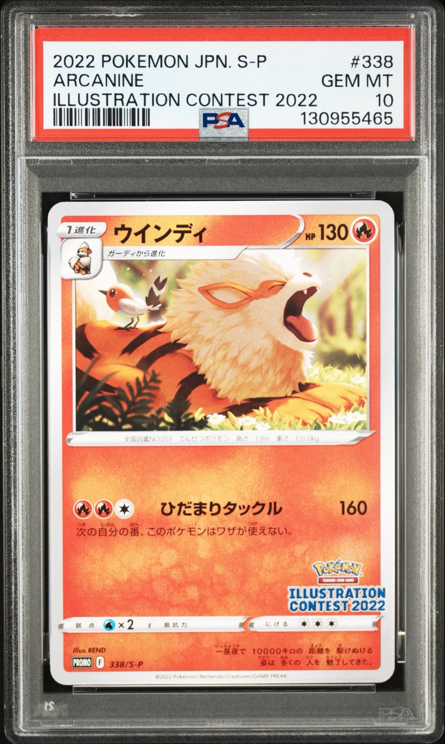 ウインディ プロモ[PROMO338 S-P](プロモーションカード「ポケモンセンター・ポケモンストア・ポケモンセンターオンライン2000円以上購入特典」)