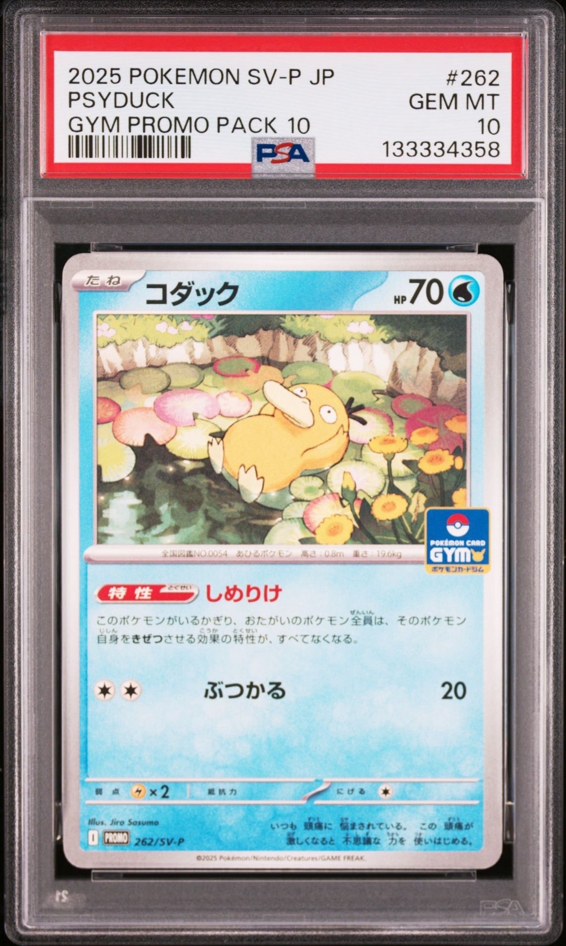 コダック P [SV-P 262](プロモカードパック「第10弾」)