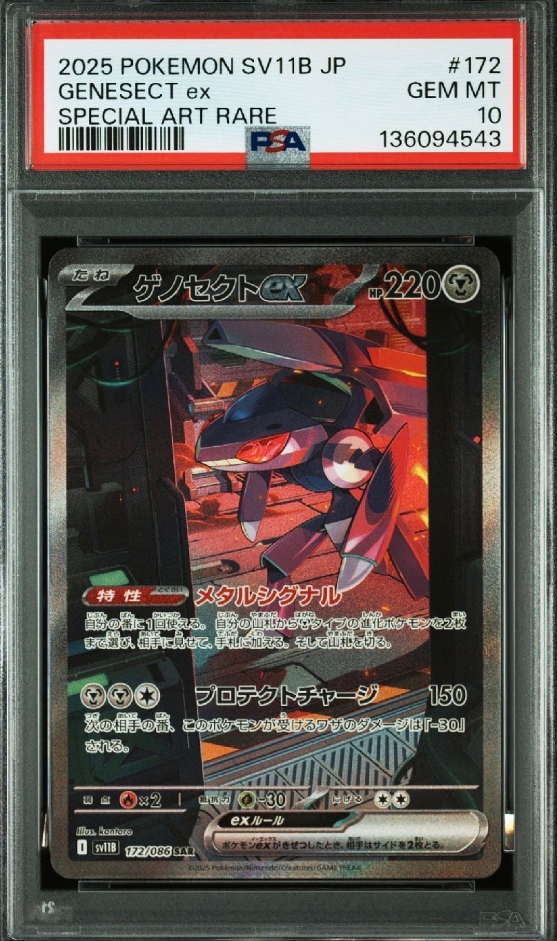 PSA10】エンテイV SAR[s12a 213/172](ハイクラスパック「VSTAR