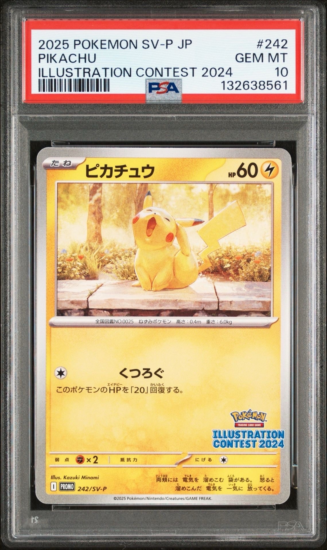 ピカチュウ [SV-P 242](プロモカードパック「イラストレーションコンテスト 2024 受賞作品プロモカード化記念キャンペーン」)
