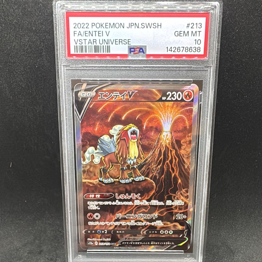 エンテイV SAR[s12a 213/172](ハイクラスパック「VSTARユニバース」)