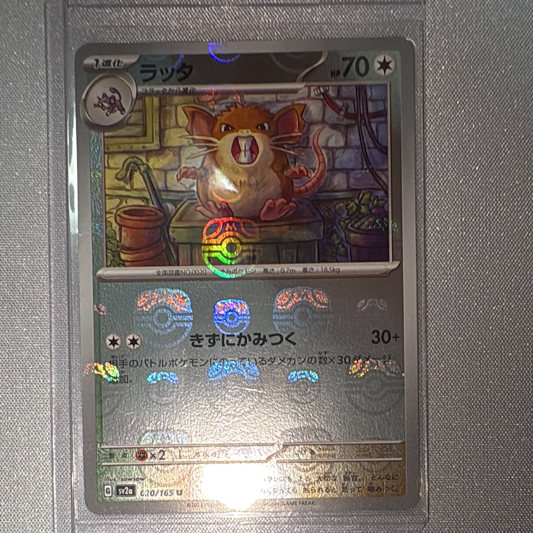 PSA10】フシギバナ: プロモ[S8a-P 002/025](プロモカードパック 25th