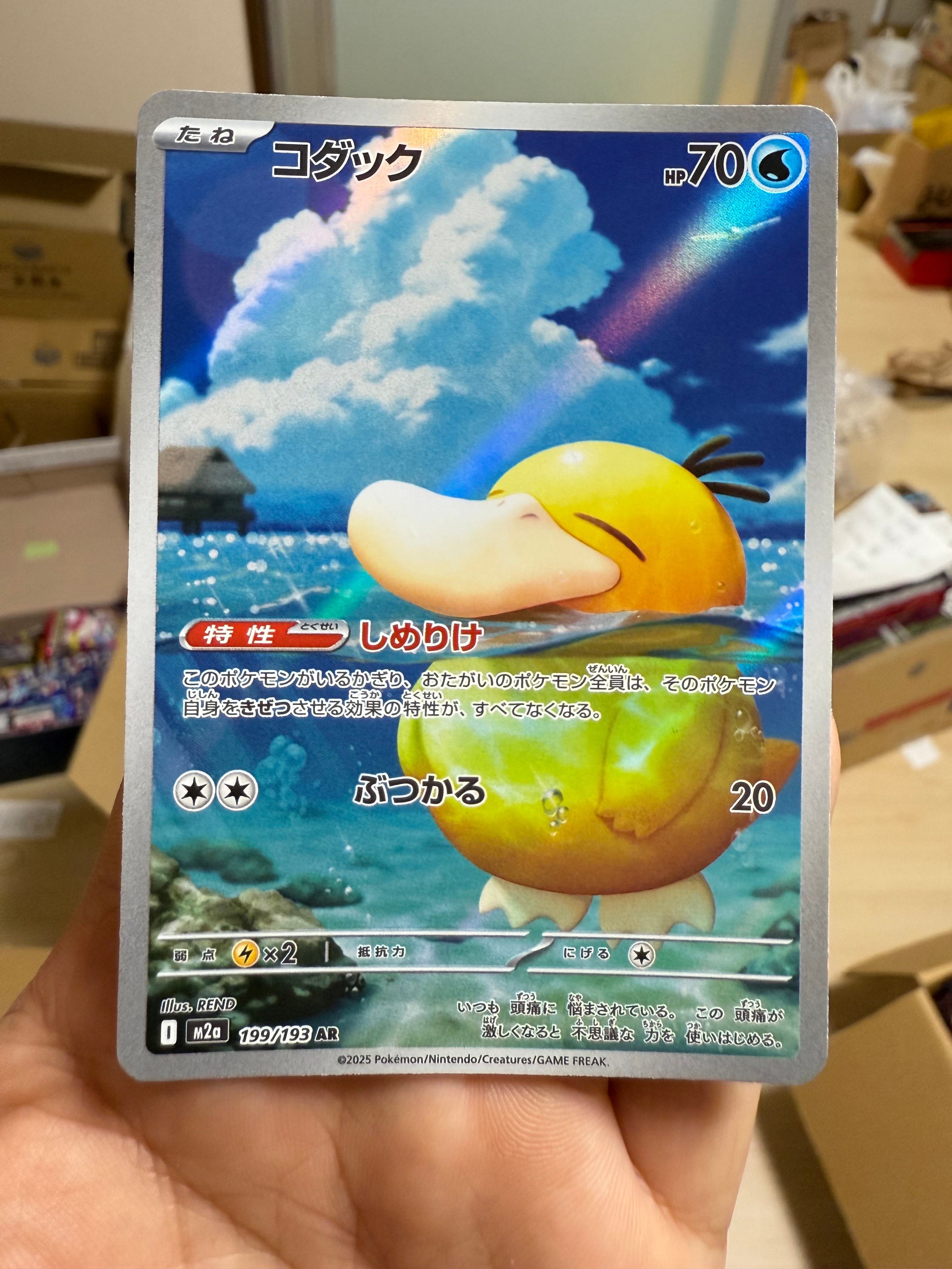 コダック AR [M2a 199/193](ハイクラスパック「MEGAドリームex」)