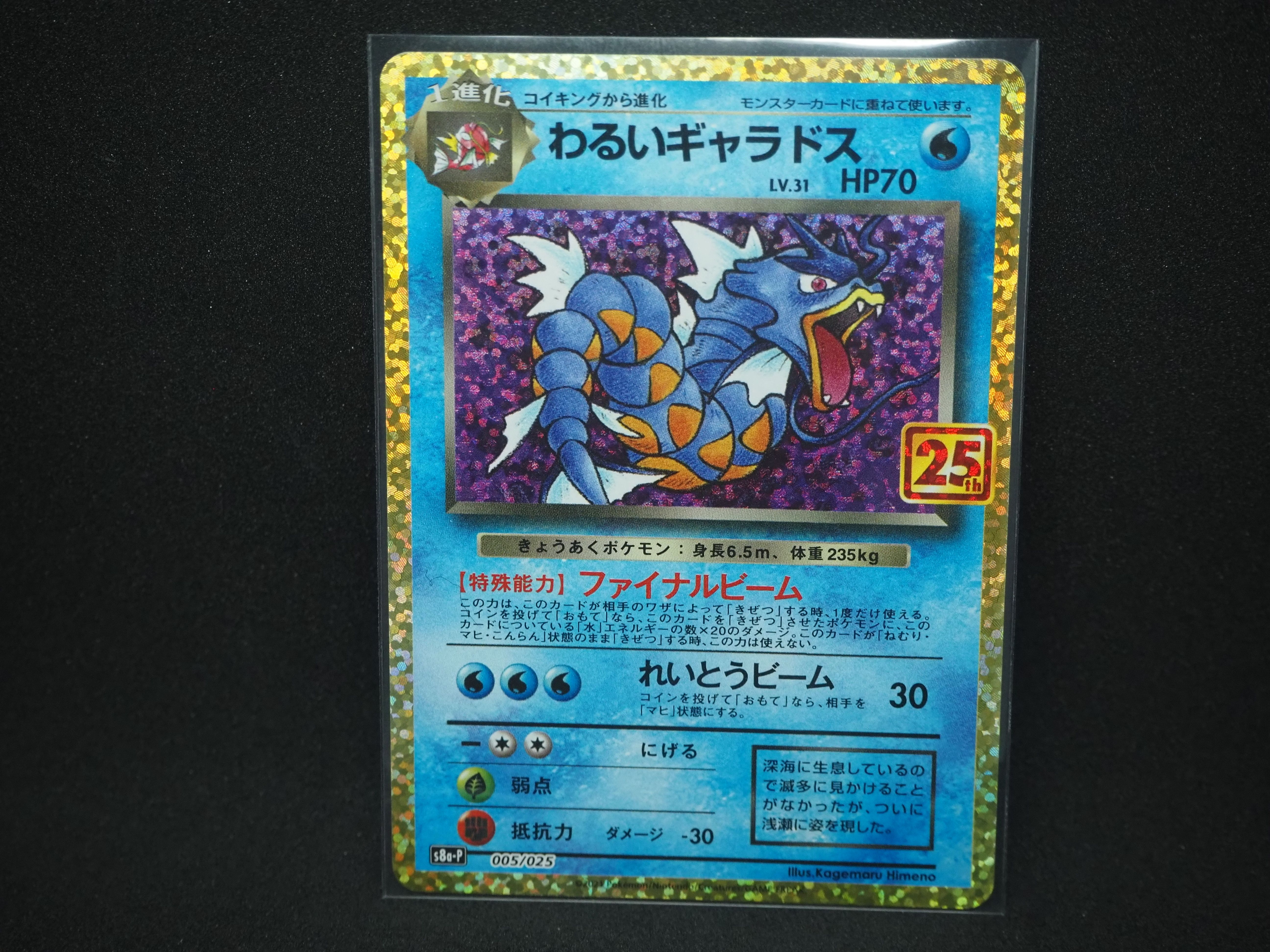 わるいギャラドス: プロモ[S8a-P 005/025](プロモカードパック 25th ANNIVERSARY edition)