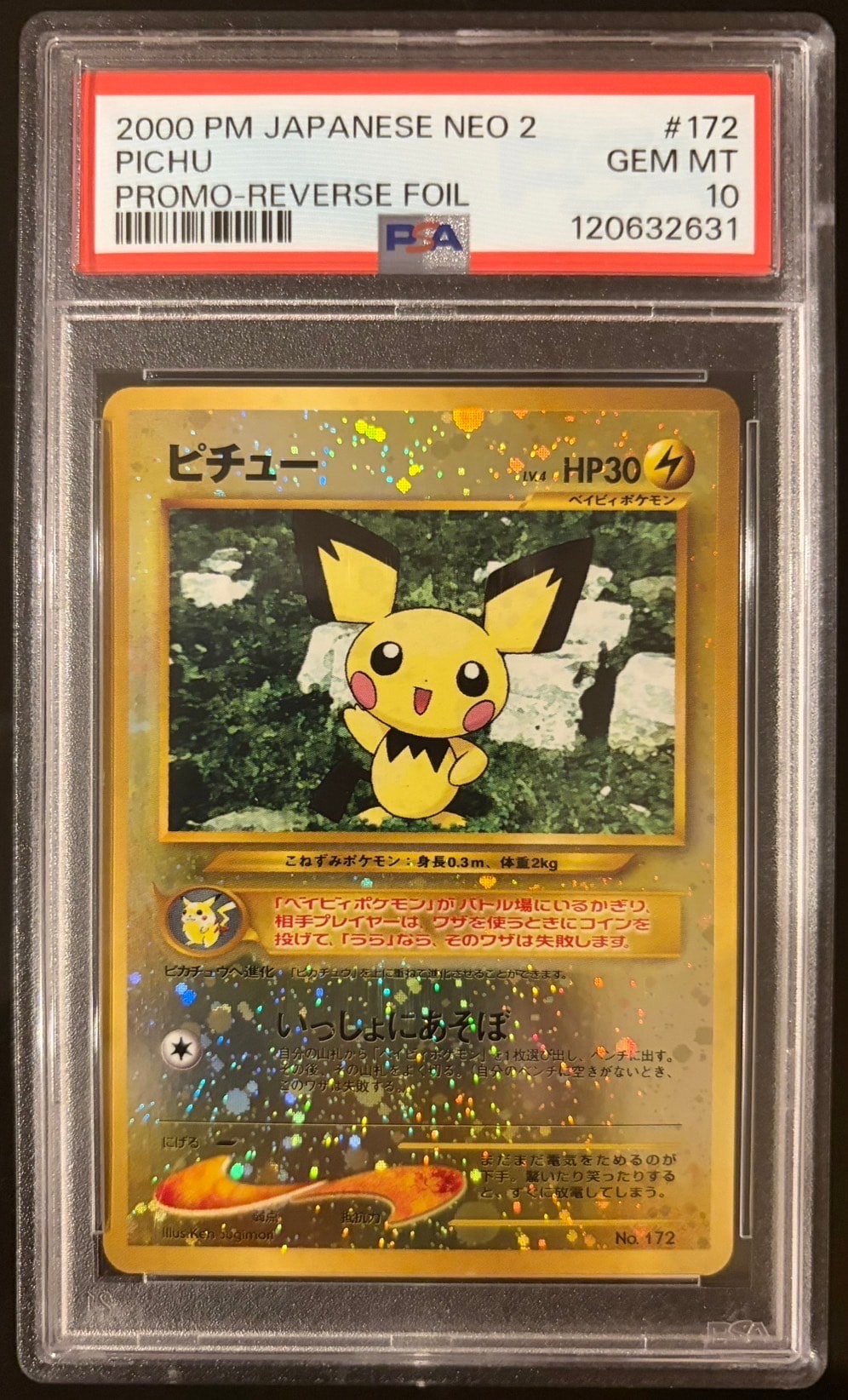 ピチュープレミアムファイル2: 旧裏[neoP2 No.172](プレミアムファイル2)