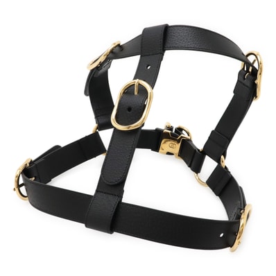 グッチ695253 その他小物 ユニセックス