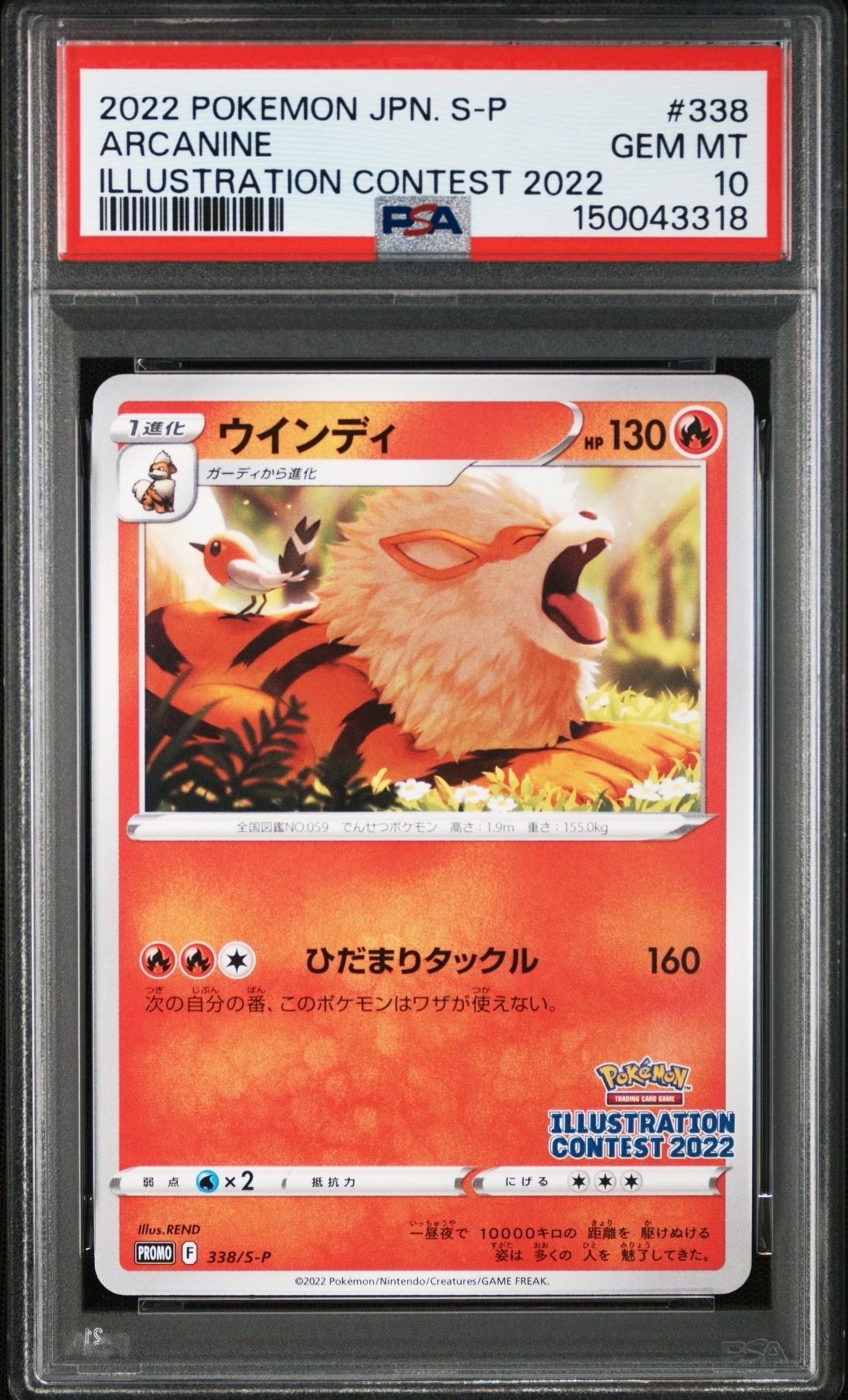 ウインディ プロモ[PROMO338 S-P](プロモーションカード「ポケモンセンター・ポケモンストア・ポケモンセンターオンライン2000円以上購入特典」)