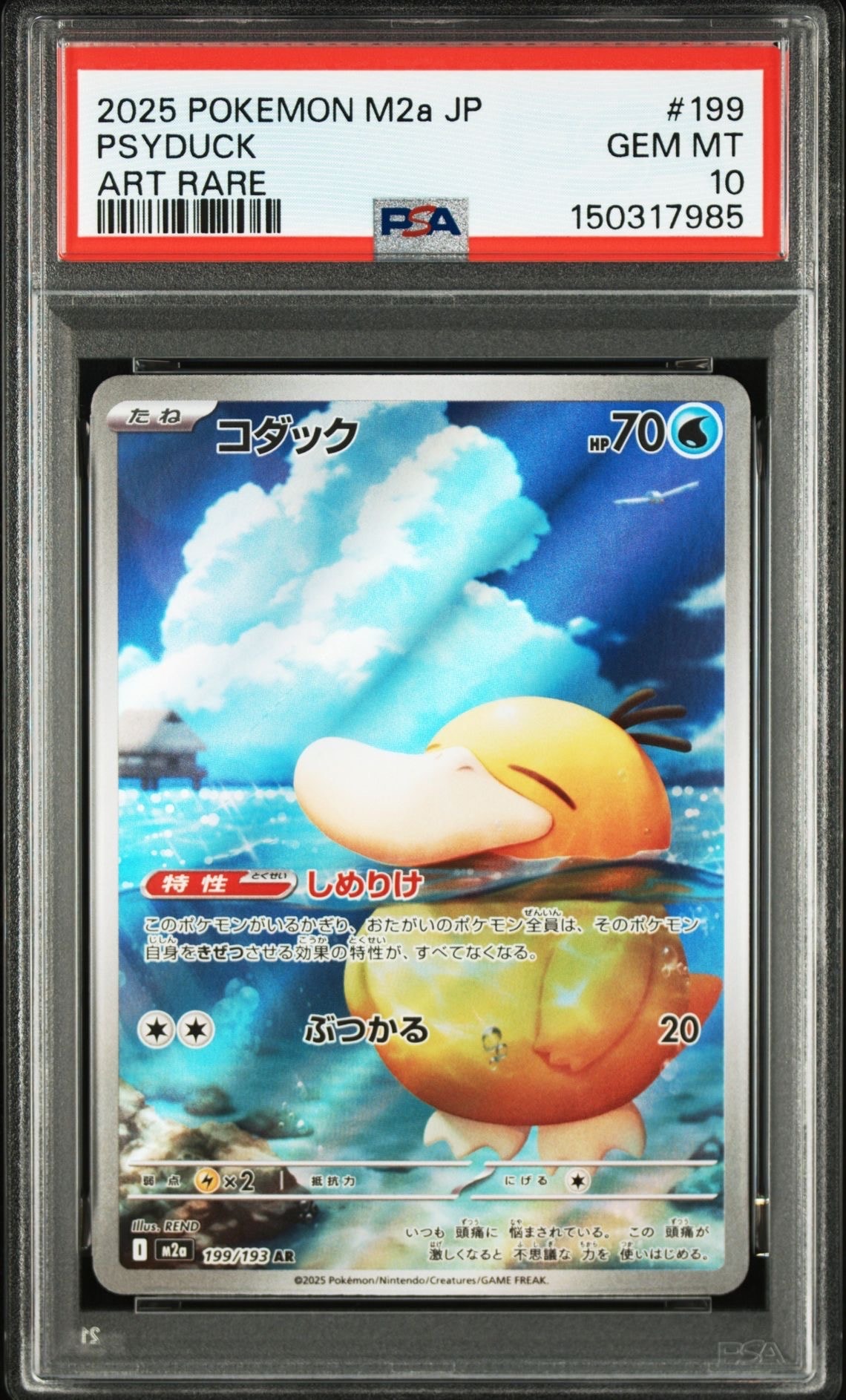 コダック AR [M2a 199/193](ハイクラスパック「MEGAドリームex」)