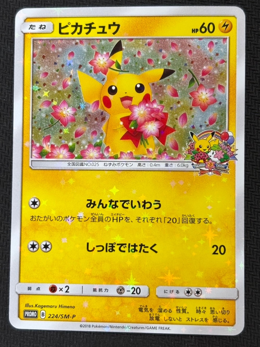 ピカチュウ: プロモ[SM-P 224](プロモーションカード「SM-P」)