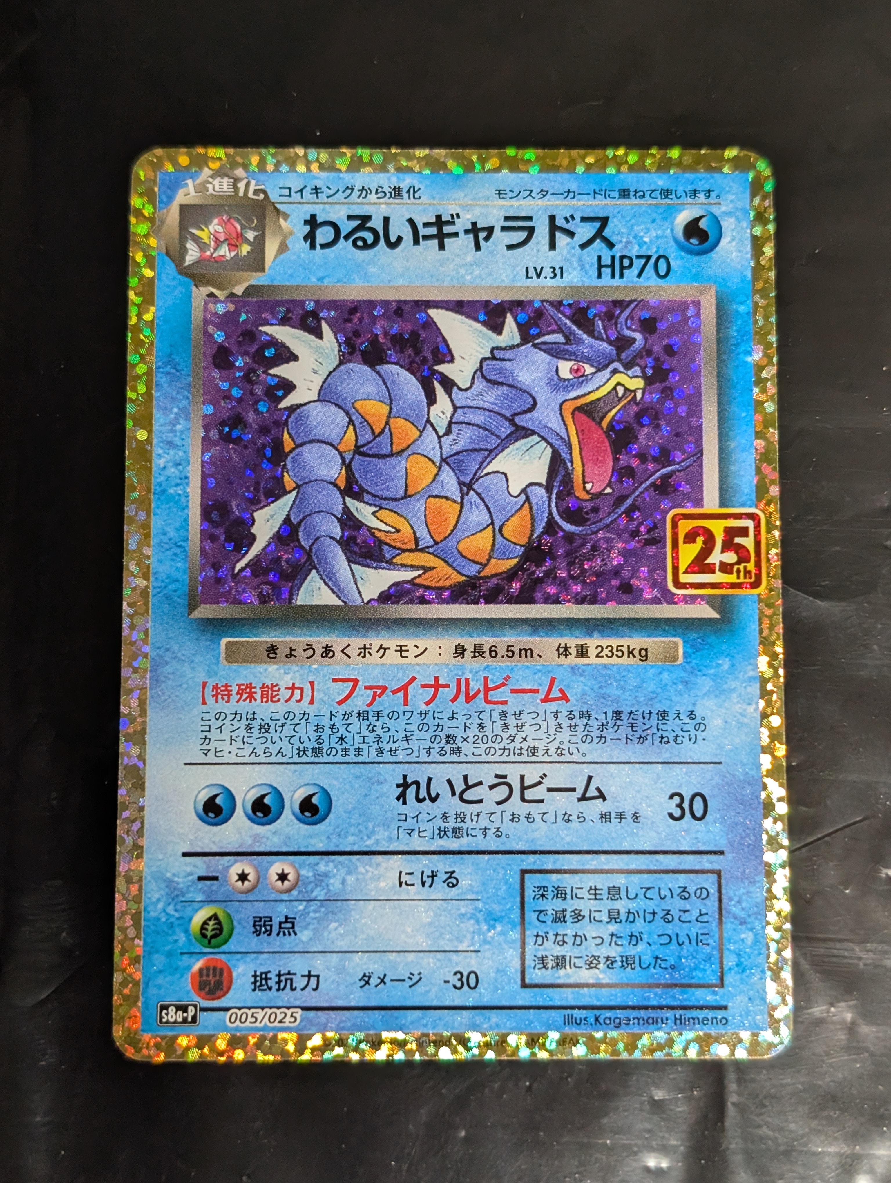 わるいギャラドス: プロモ[S8a-P 005/025](プロモカードパック 25th