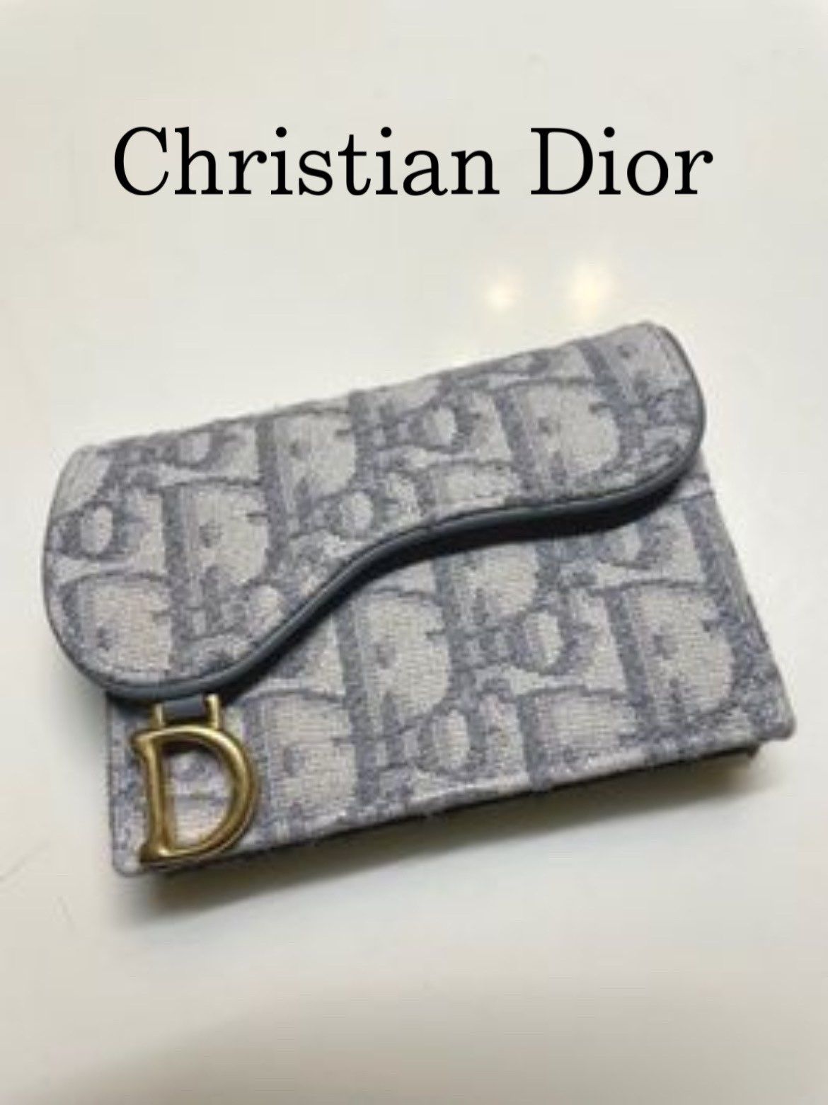 Dior Saddle Flap Card Holder "Gray"