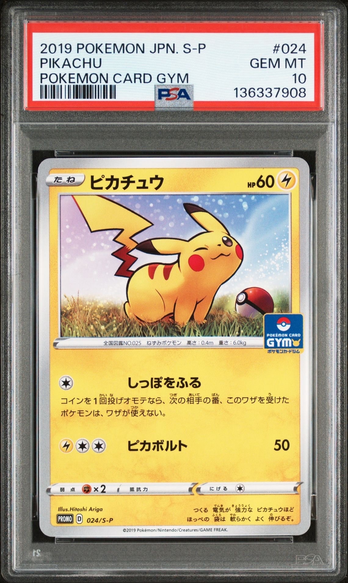 ピカチュウ: プロモ P [S-P 024](ポケモンカードゲーム ソード&シールド 「プロモカードパック 第1弾」)