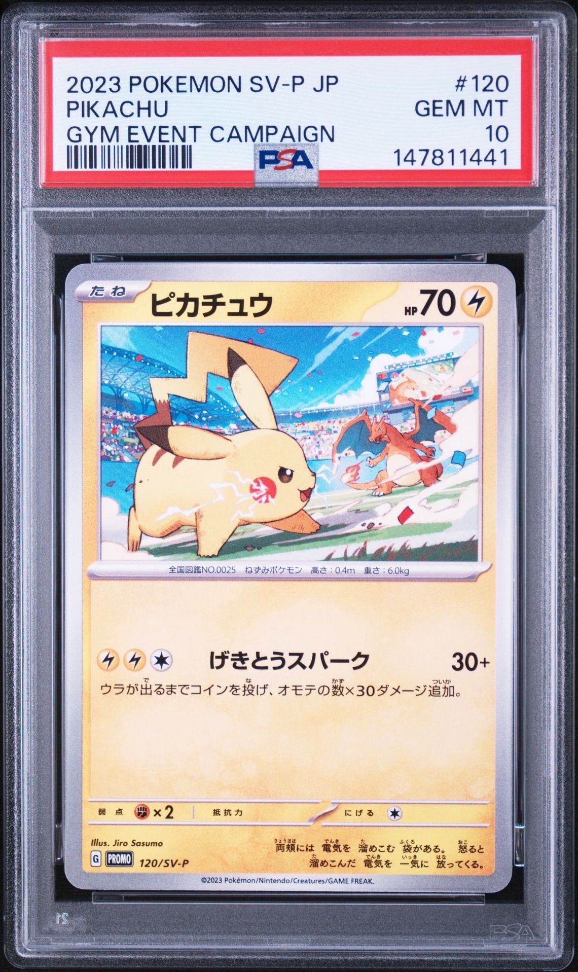 ピカチュウ: プロモ [SV-P 120](プロモーションカード「SV-P」)の新品