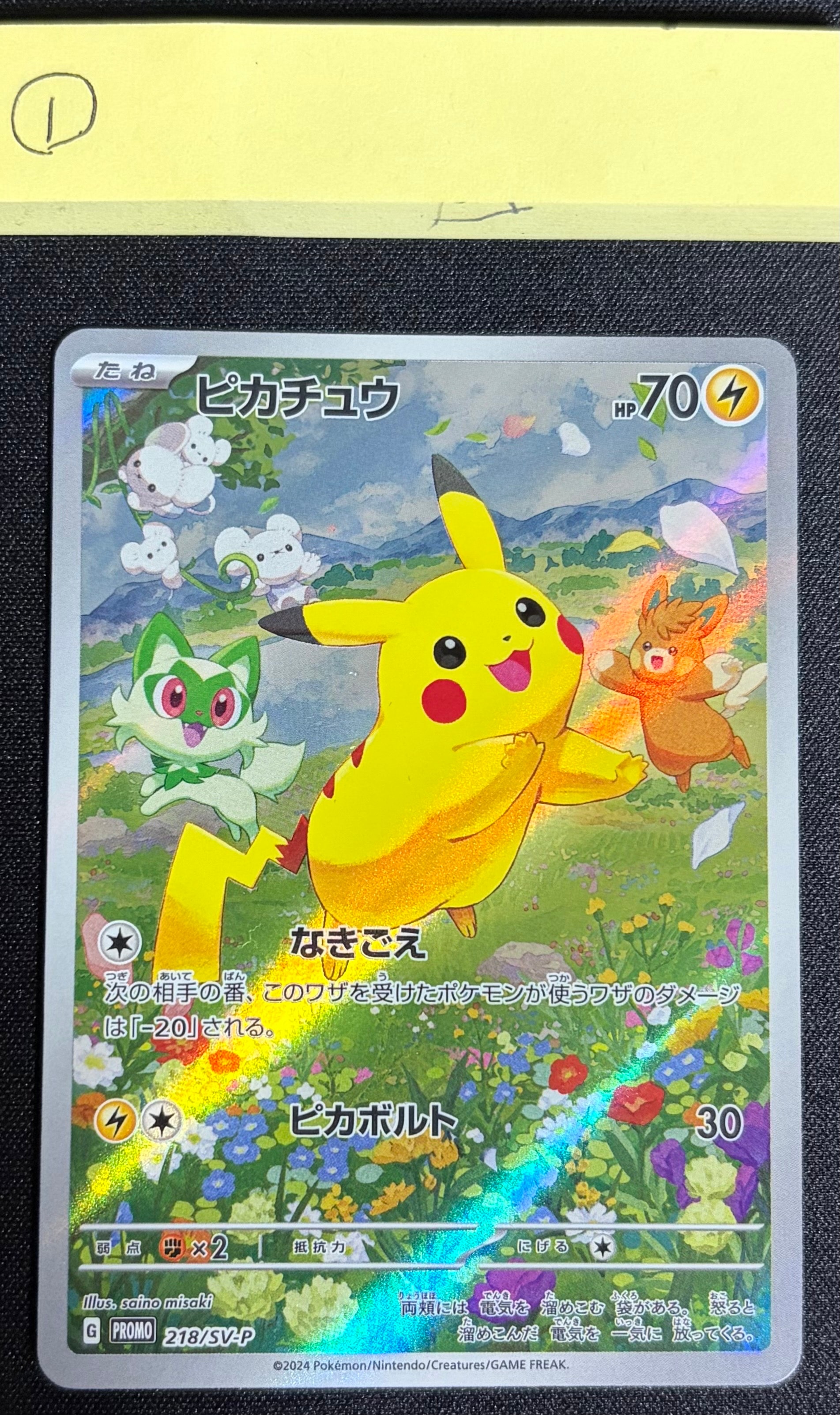 ピカチュウ P [SV-P 218](プロモカードパック「ポケカの夏がキタ!プロモカードGetキャンペーン!」)
