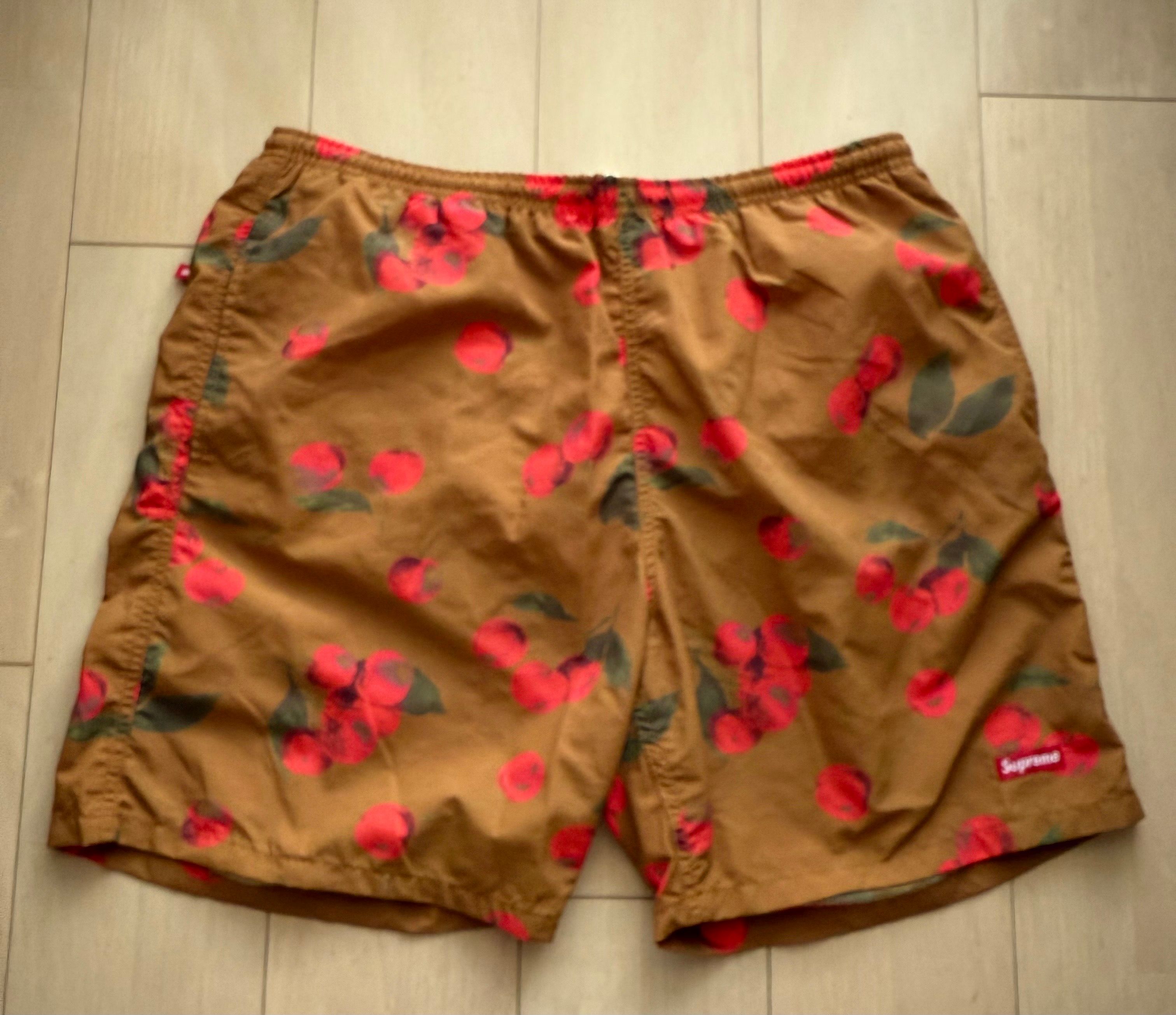Supreme Nylon Water Short 
