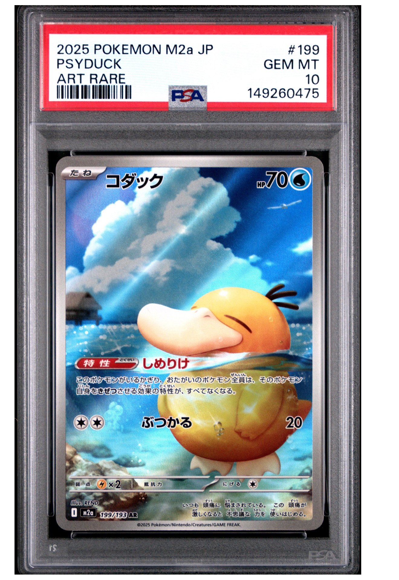 コダック AR [M2a 199/193](ハイクラスパック「MEGAドリームex」)