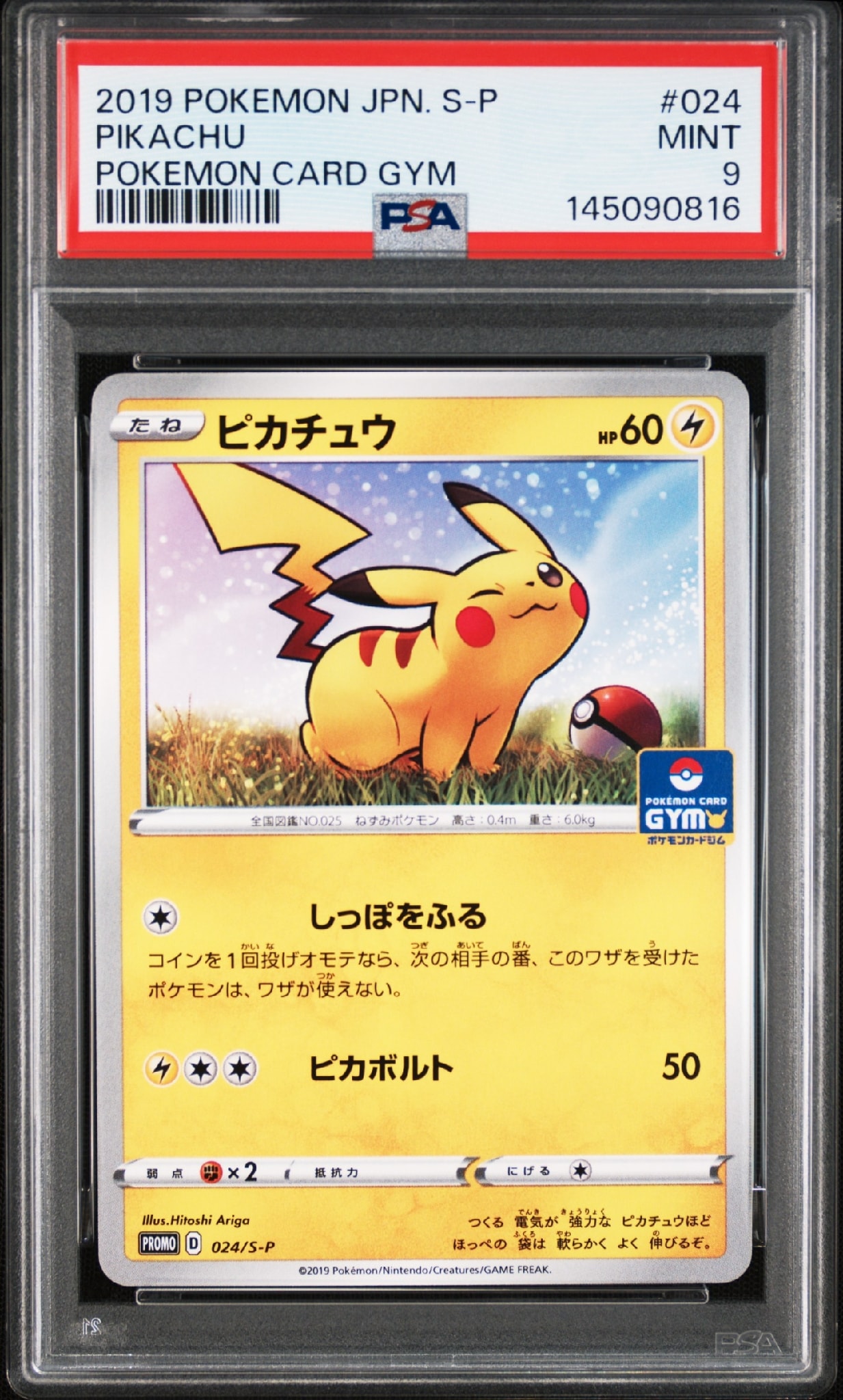 ピカチュウ: プロモ P [S-P 024](ポケモンカードゲーム ソード