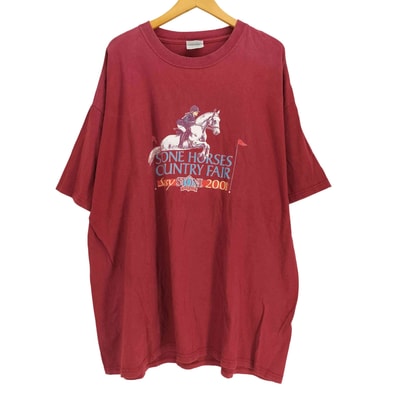 00S BEEFY STONE HORSEES プリント 半袖カットソー【1139208728122】