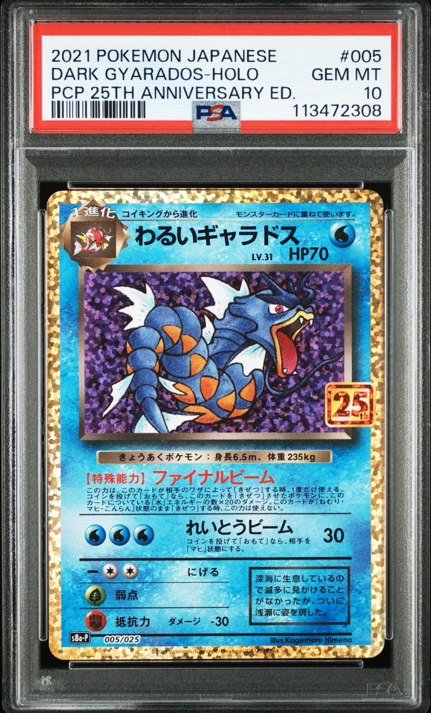 わるいギャラドス: プロモ[S8a-P 005/025](プロモカードパック 25th ANNIVERSARY edition)