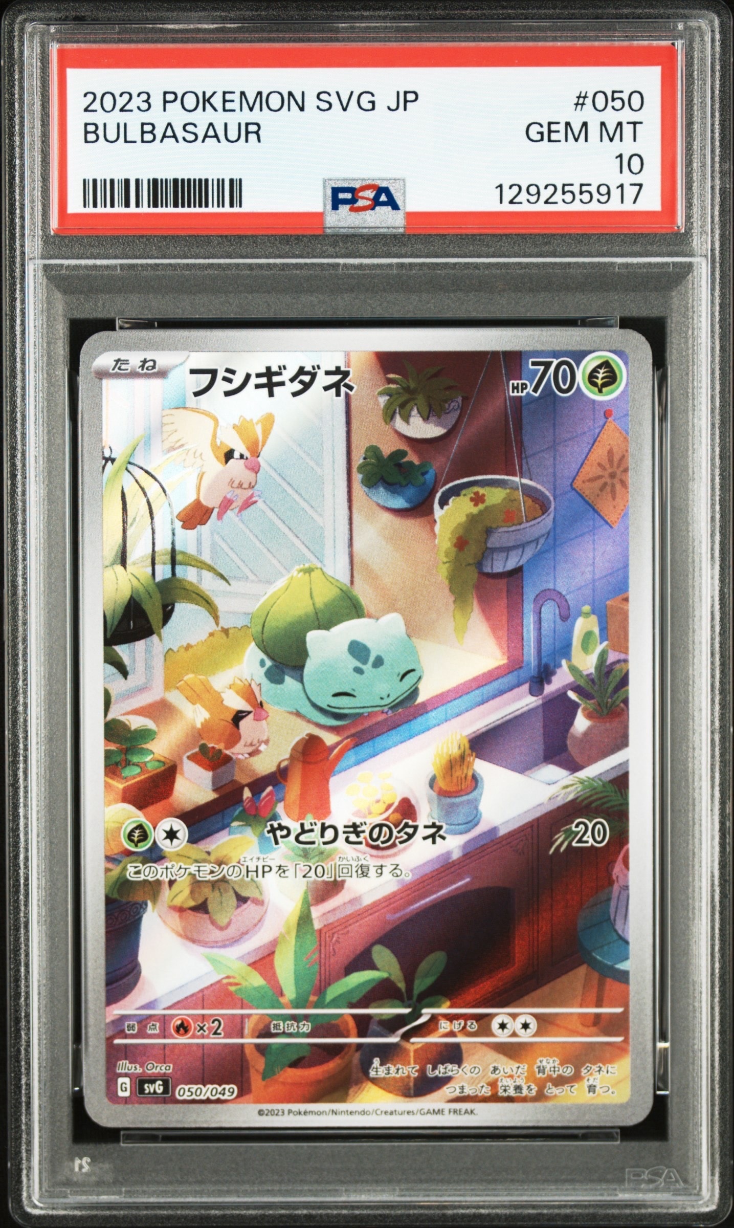 フシギダネ :フルイラスト [SVG 050/049](スペシャルデッキセットex「フシギバナ・リザードン・カメックス」)