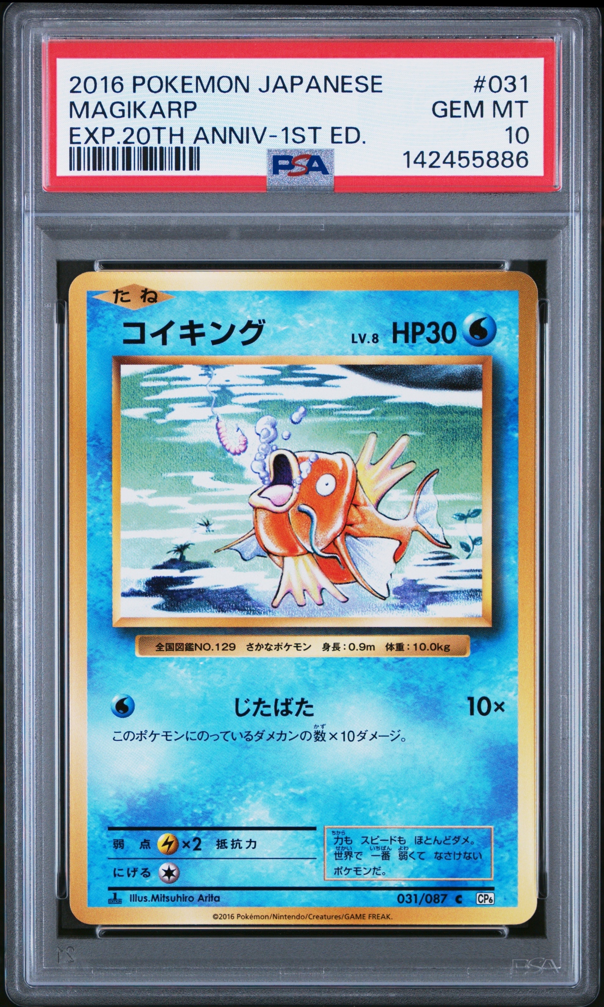 コイキング C :1ED [CP6 031/087](コンセプトパック「ポケットモンスターカードゲーム 拡張パック 20th Anniversary」)