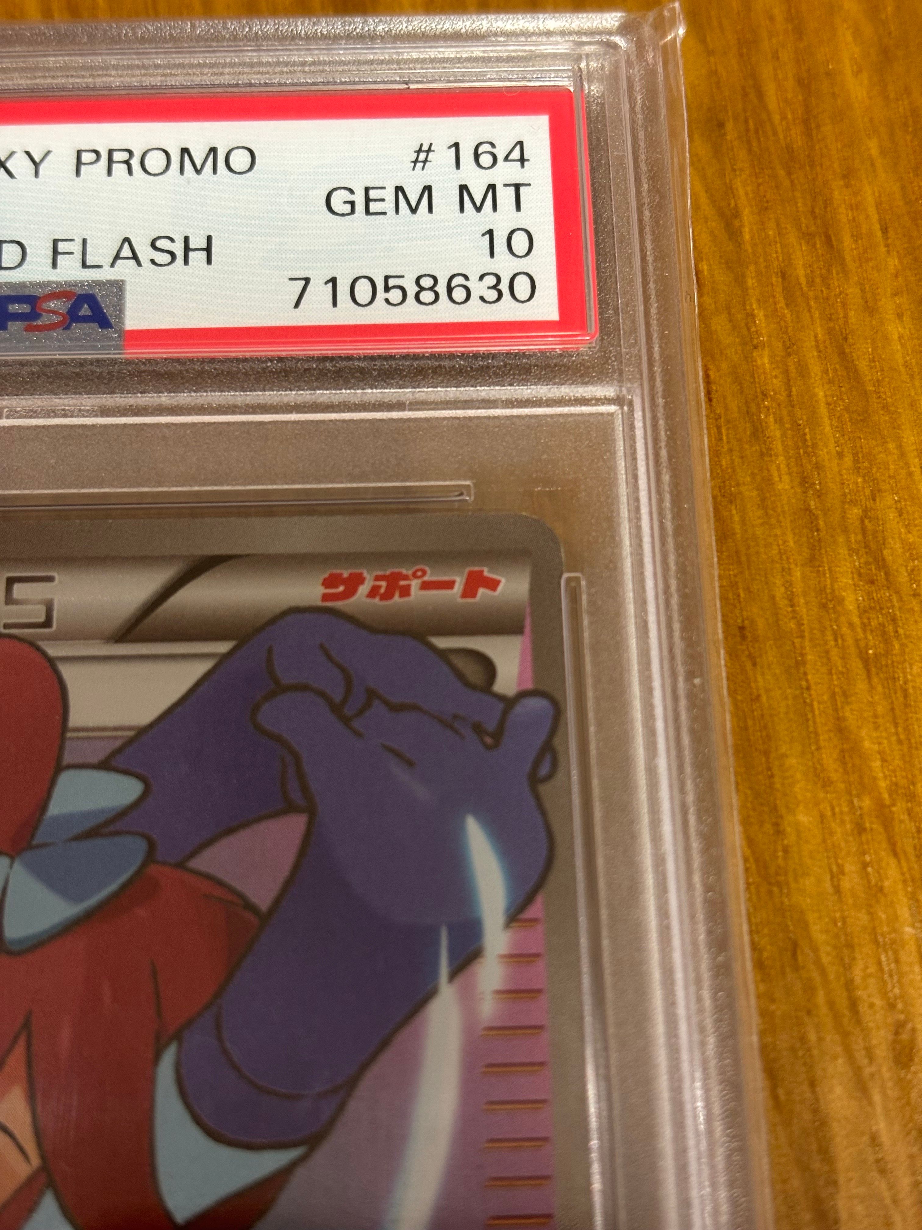 フウロ: プロモ[XY-P 164/XY-P](プロモーションカード「XY-P