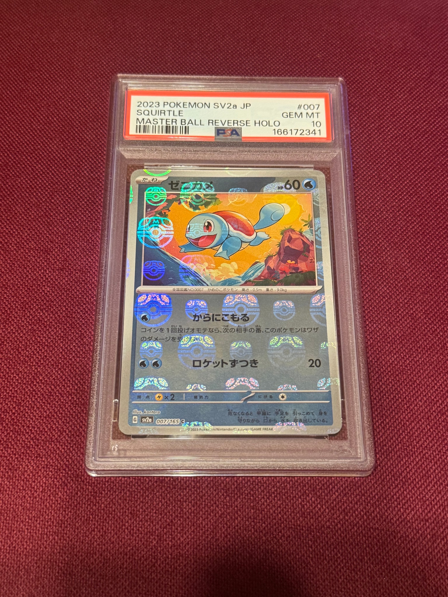 ゼニガメ C: マスターボールミラー[SV2a 007/165](強化拡張パック