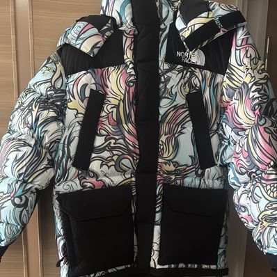 Supreme x The North Face 700-Fill Down Parka "Multicolor Dragon" NF0A82R3 / ND52206I