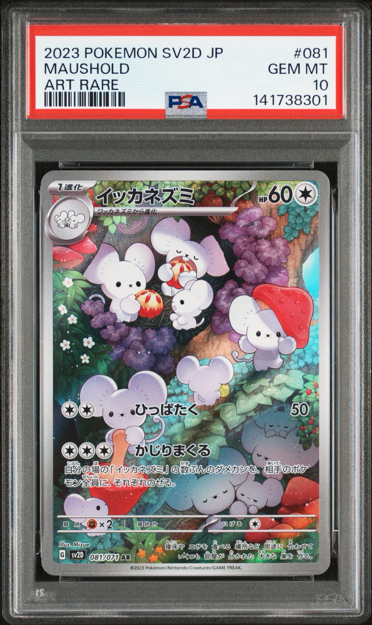 Maushold AR[SV2D 081/071](Expansion Pack "Clay burst")
