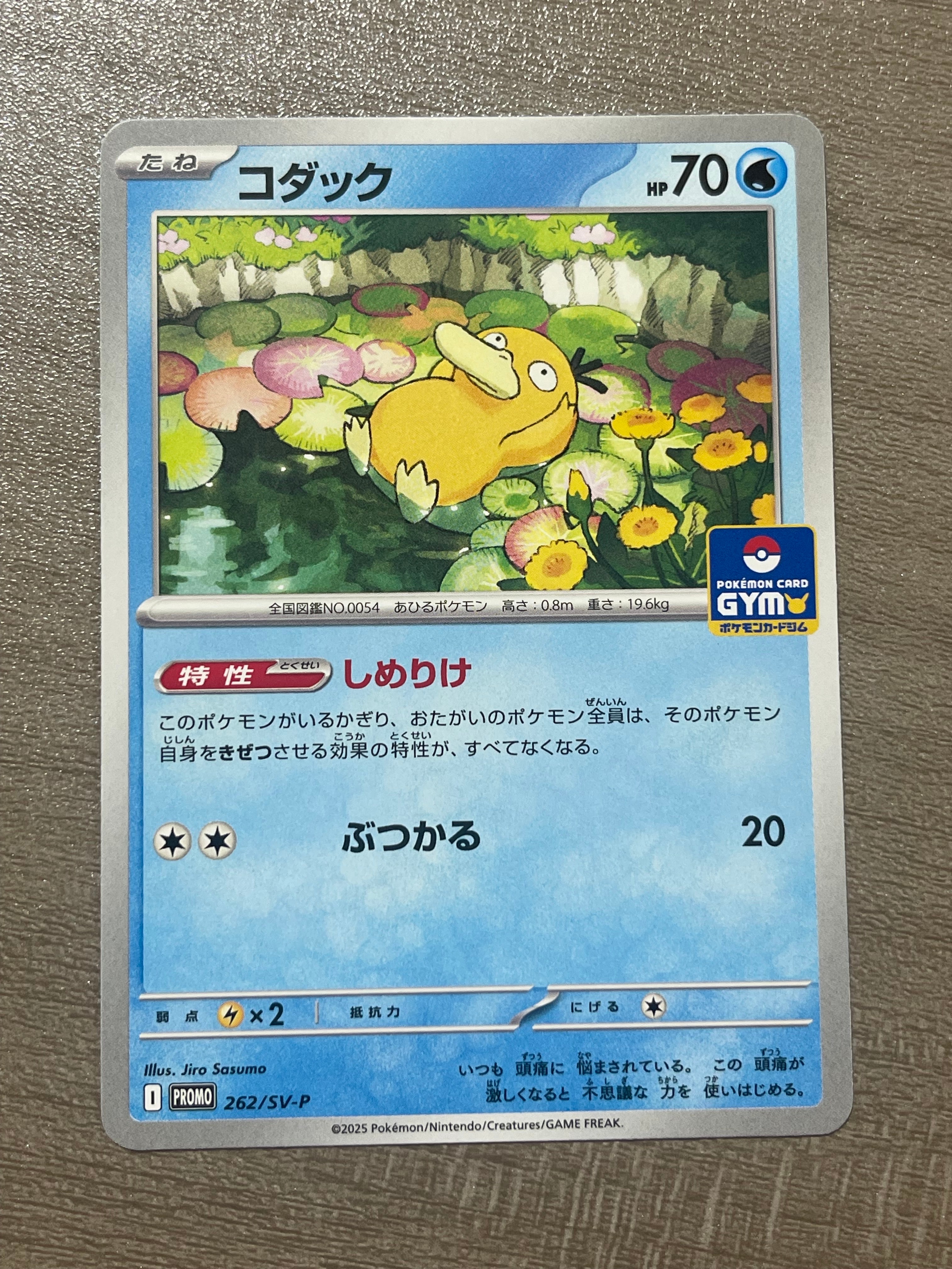 コダック P [SV-P 262](プロモカードパック「第10弾」)通販・買取