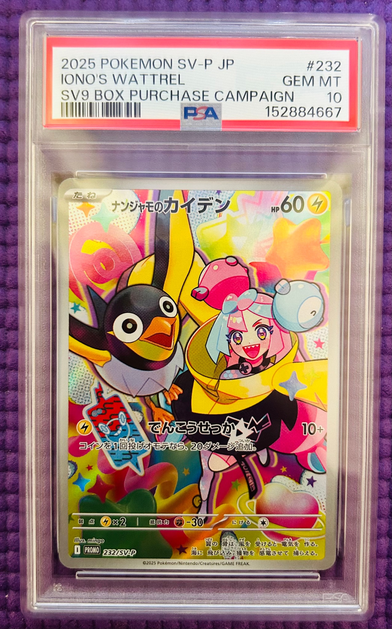 ナンジャモのカイデン P [SV-P 232](プロモーションカード「拡張パック