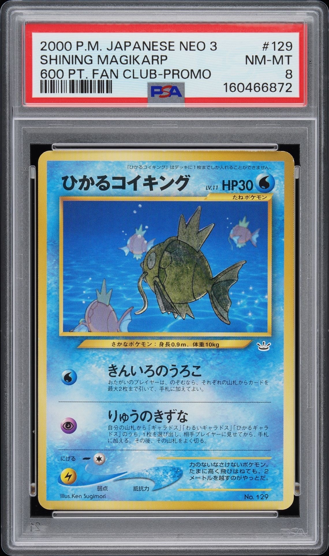 ひかるコイキング P : 旧裏 [neo-P](プロモーションカード「ポケモン