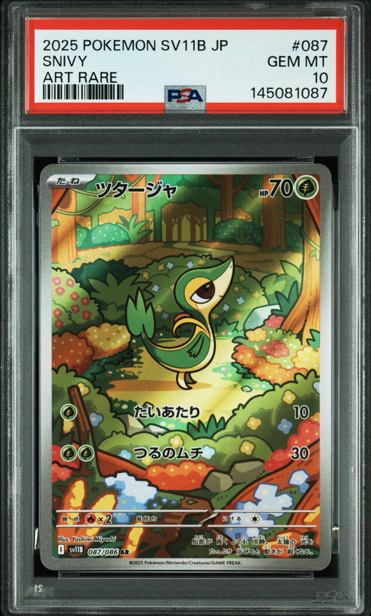 PSA10】ツタージャ AR [SV11B 087/086](拡張パック「ブラックボルト