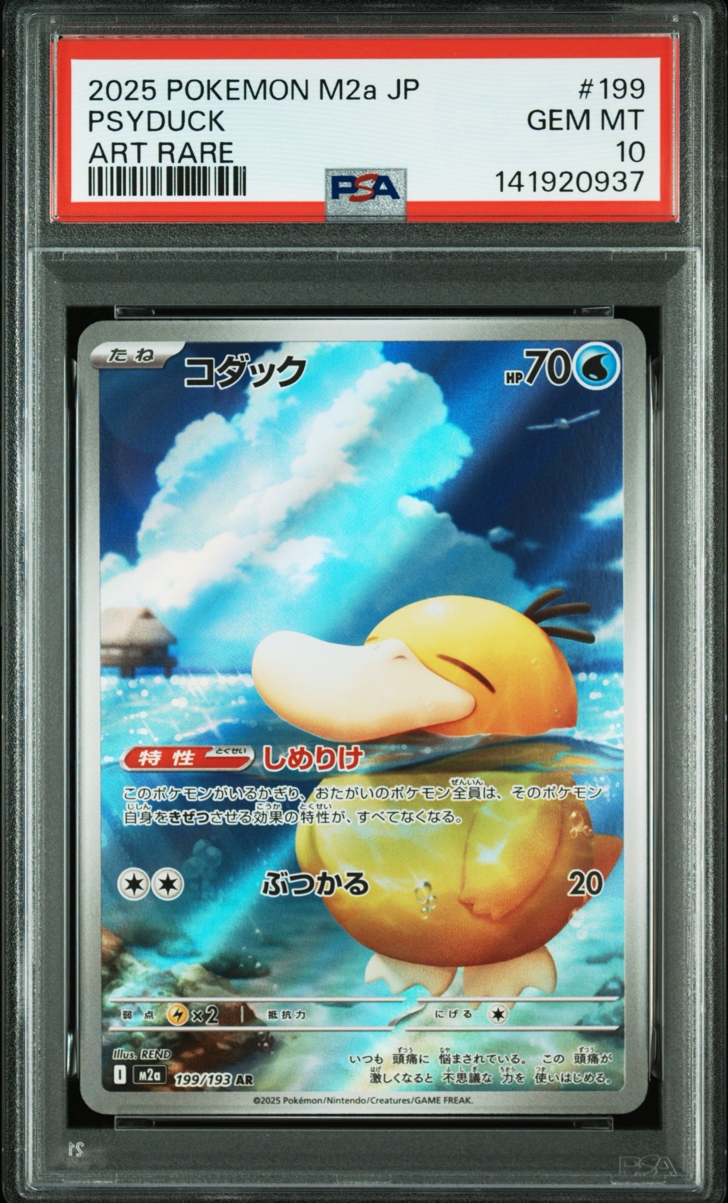 コダック AR [M2a 199/193](ハイクラスパック「MEGAドリームex」)