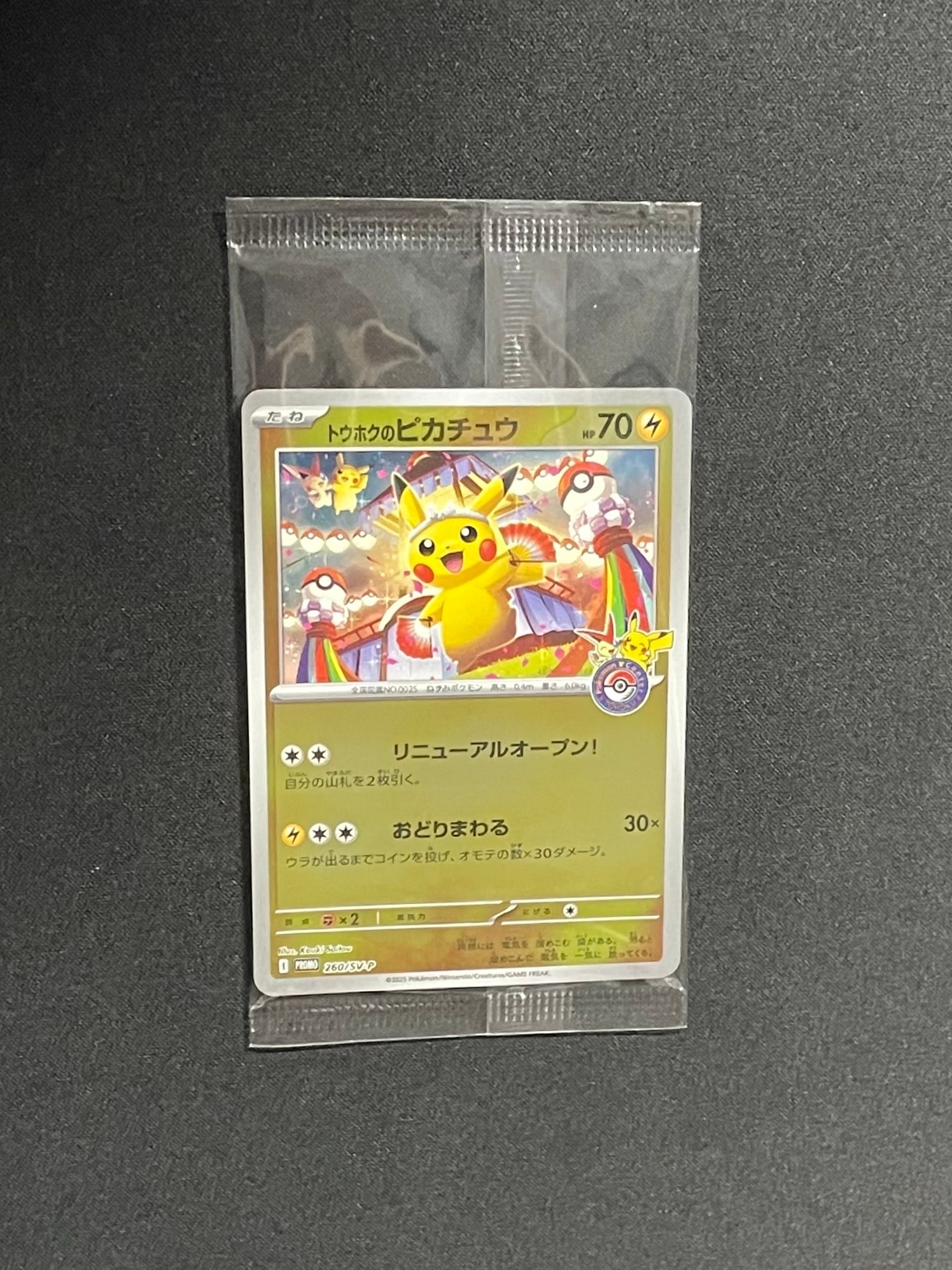 ポケモンセンタートウホク スペシャルBOX トウホクのピカチュウ トウホクのピカチュウ [スペシャルBOX ポケモンセンタートウホク] 260