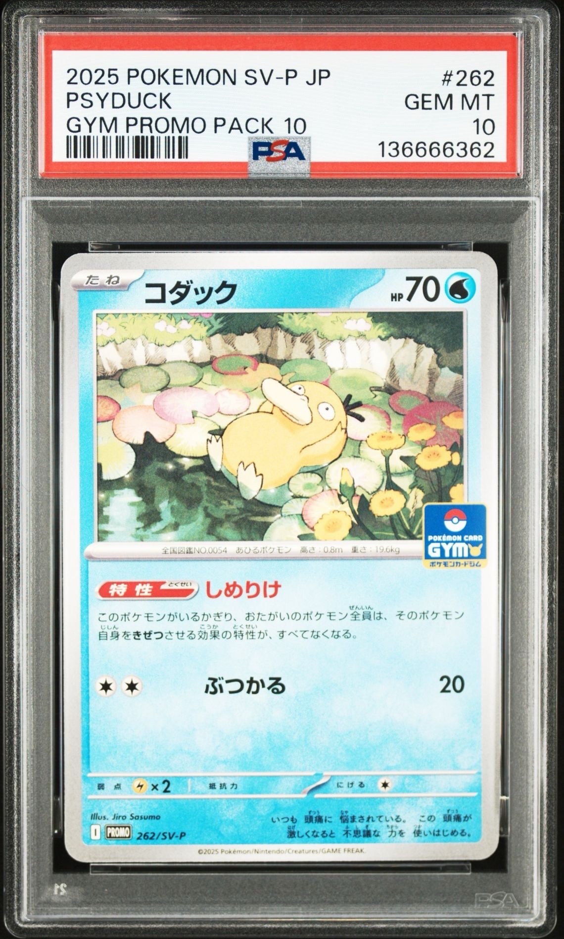 PSA9】コダック P [SV-P 262](プロモカードパック「第10弾」) 1枚の
