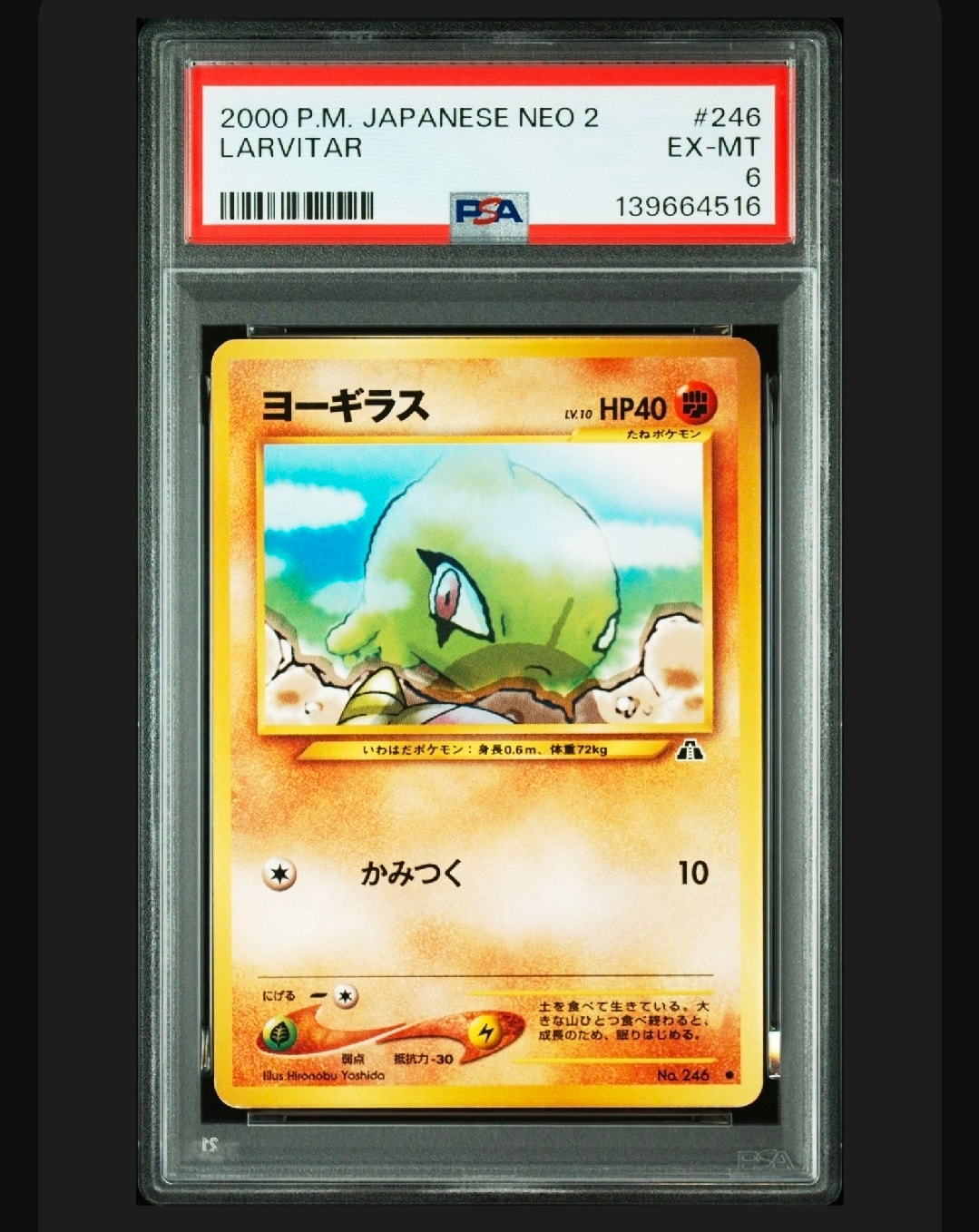 ノコッチ ヨーギラス クヌギダマ オタチ 遺跡をこえて Neo 2旧裏PSA9 PSA8以下】ヨーギラス ○ : 旧裏 [neo2 No.246](ポケモンカード☆neo