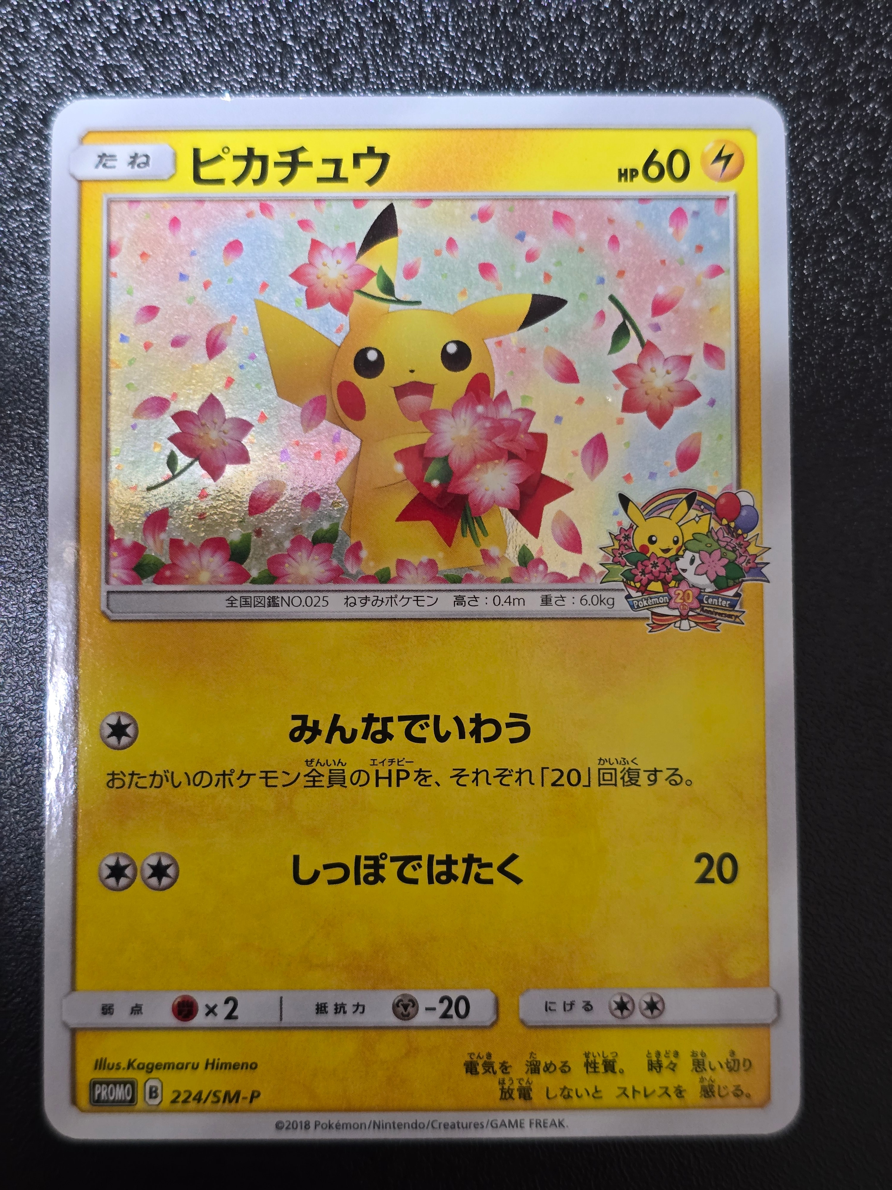 PSA9】ピカチュウ: プロモ[SM-P 224](プロモーションカード「SM-P」) 1