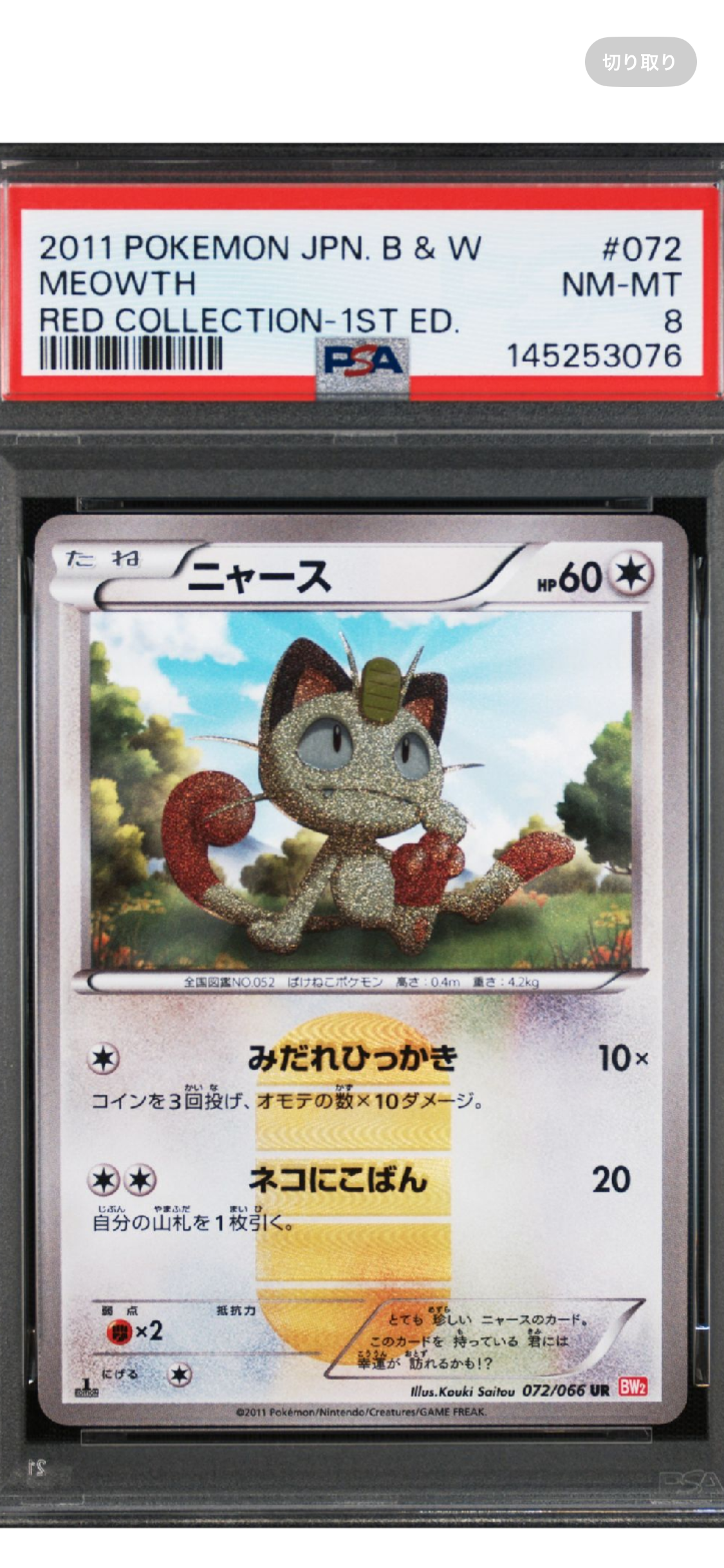ピカチュウ: バトルフェスタ2014プロモ[XY-P 090/XY-P](プロモーション