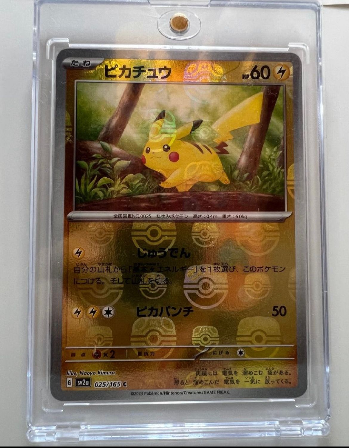 ピカチュウ C: マスターボールミラー (マスボピカチュウ) [SV2a 025/165](強化拡張パック「ポケモンカード151」)