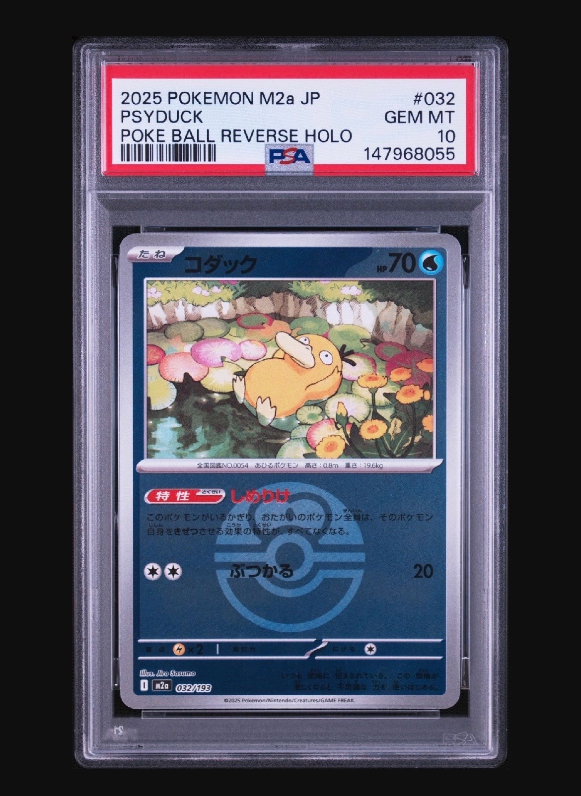 サトシのピカチュウ: プロモ[SM-P 74](プロモーションカード「SM-P