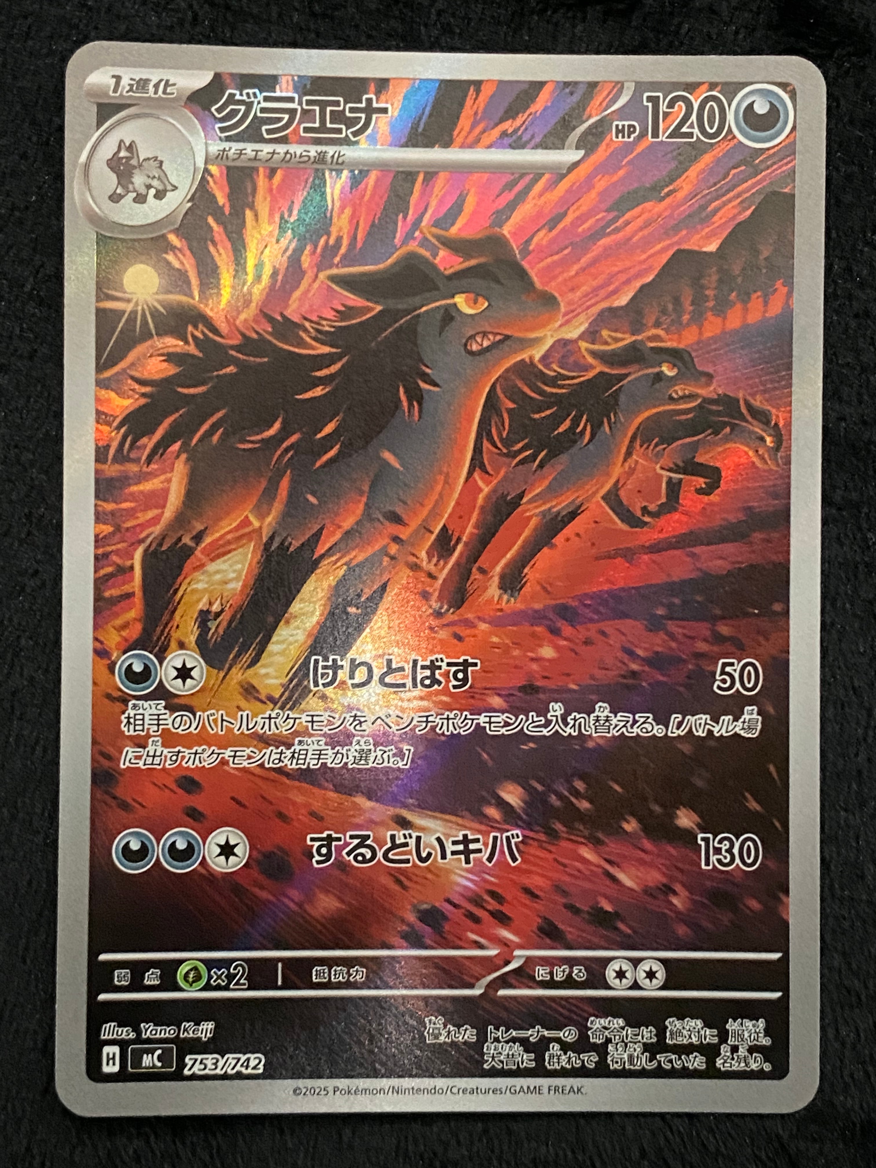 グラエナ AR仕様 [MC 753/742](スタートデッキ100「バトルコレクション」)