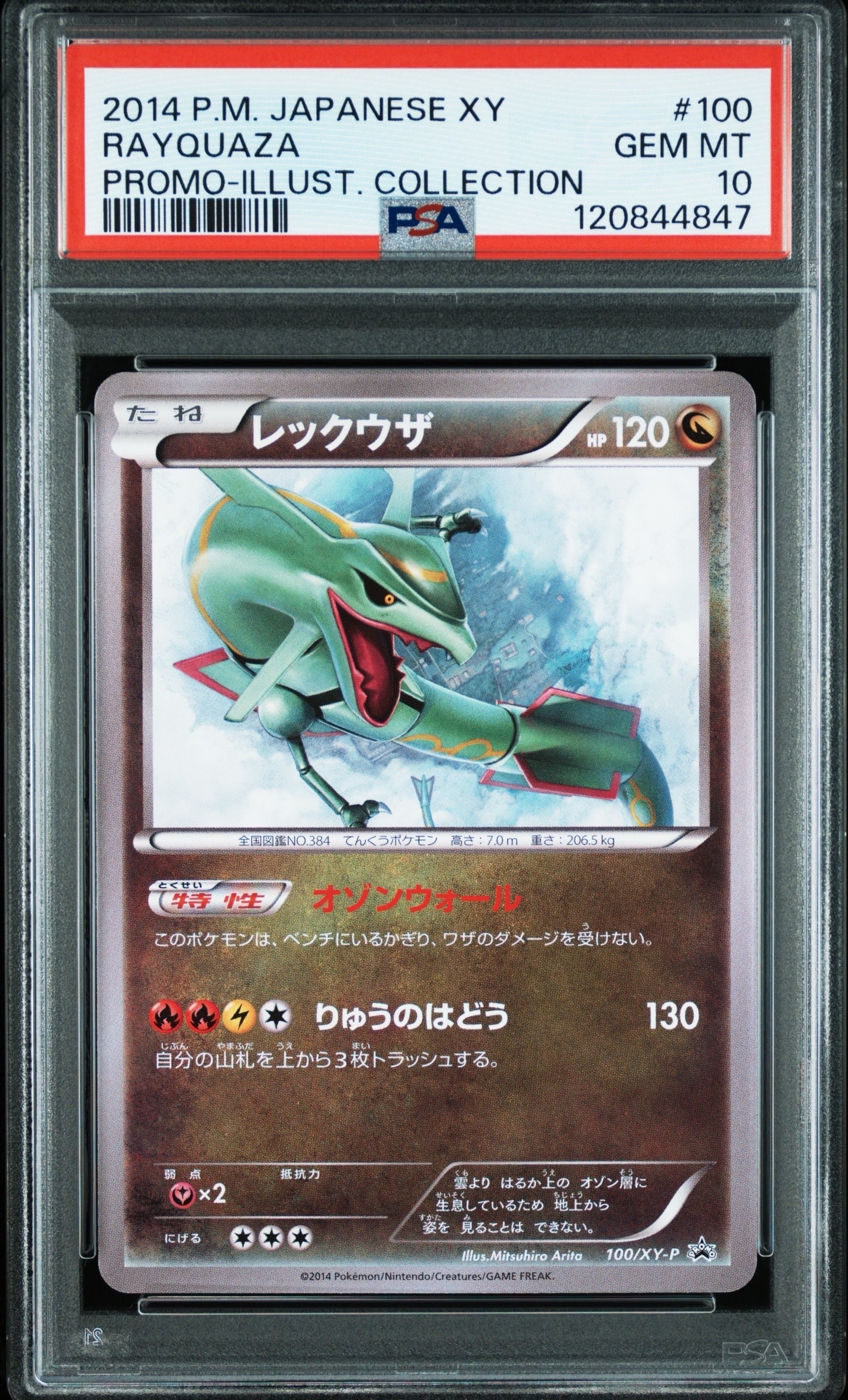レックウザ イラストコレクション: プロモ[XY-P 100/XY-P](プロモーションカード「XY-P」)